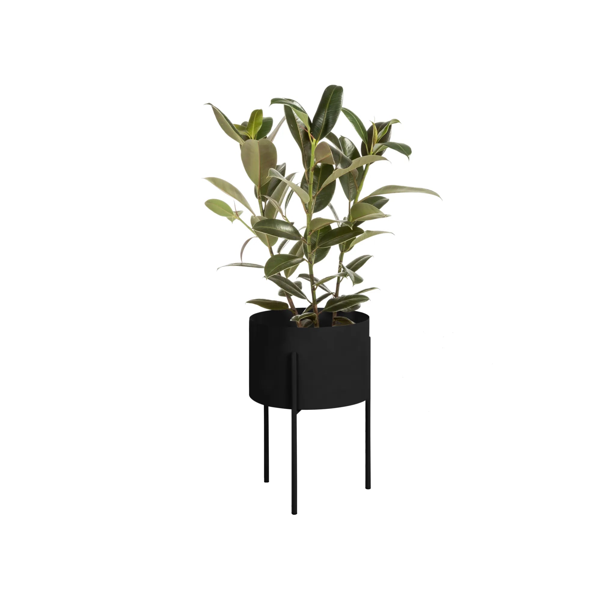 black plant pot with legs Maki Wide Vulcano Black Plant Pot by noo.ma Durable Powder Coated Steel Minimal Design for Indoor Plants
