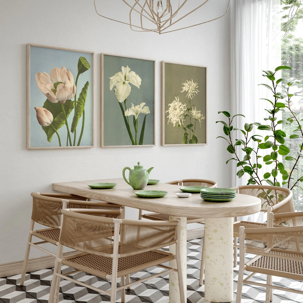 Gorgeous Iris Laevigata bloom in full sunlight with vibrant colors