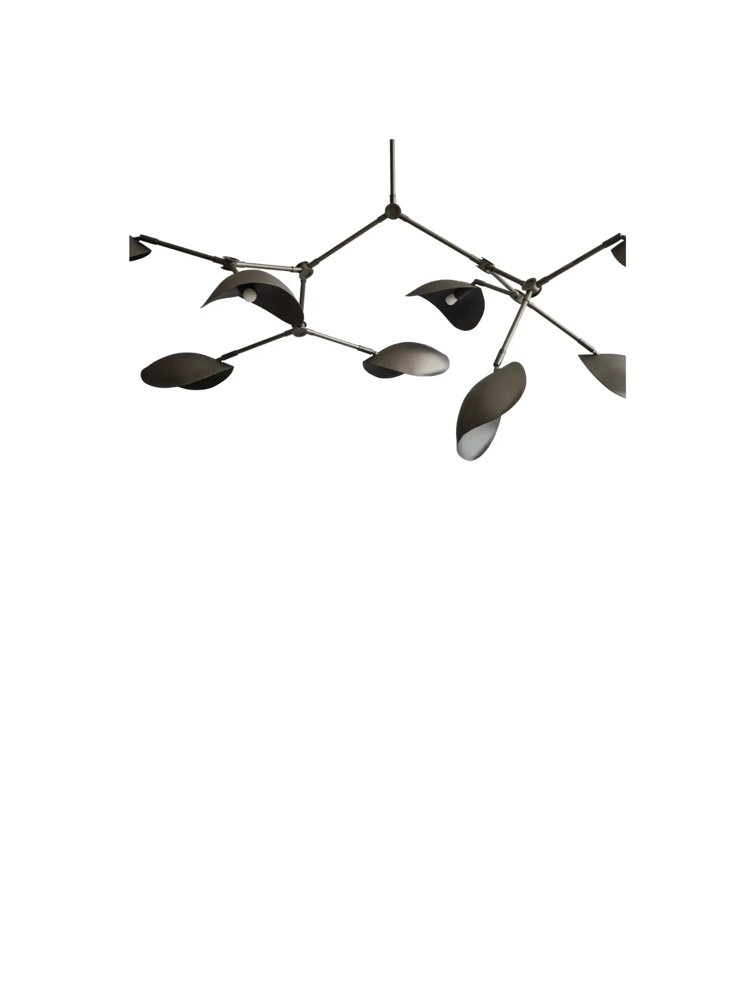 Stingray Chandelier