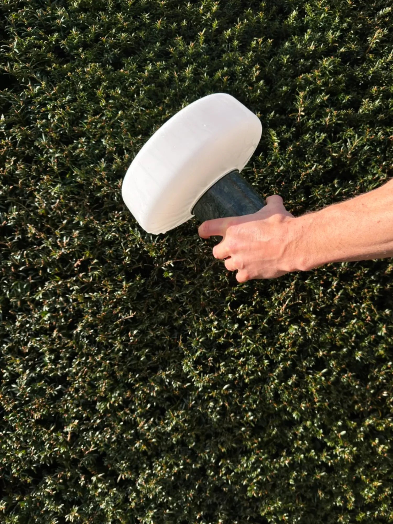 Solid Portable Lamp by Case - THAT COOL LIVING