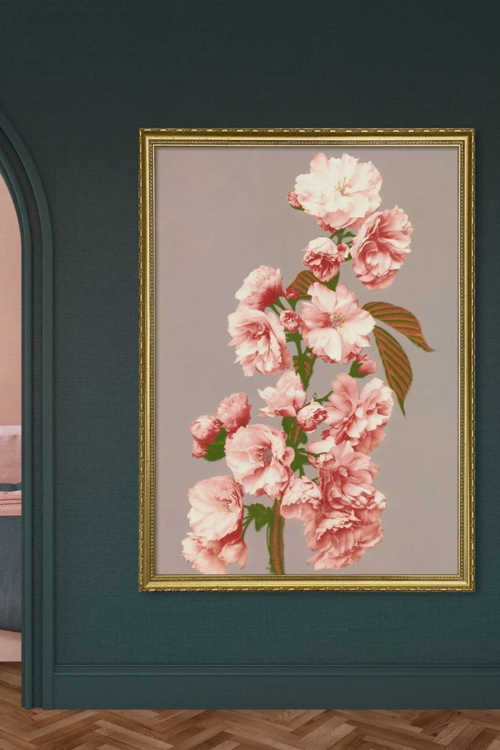 Cherry Blossom tree with pink flowers blooming in spring