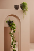 Terra Planter - THAT COOL LIVING