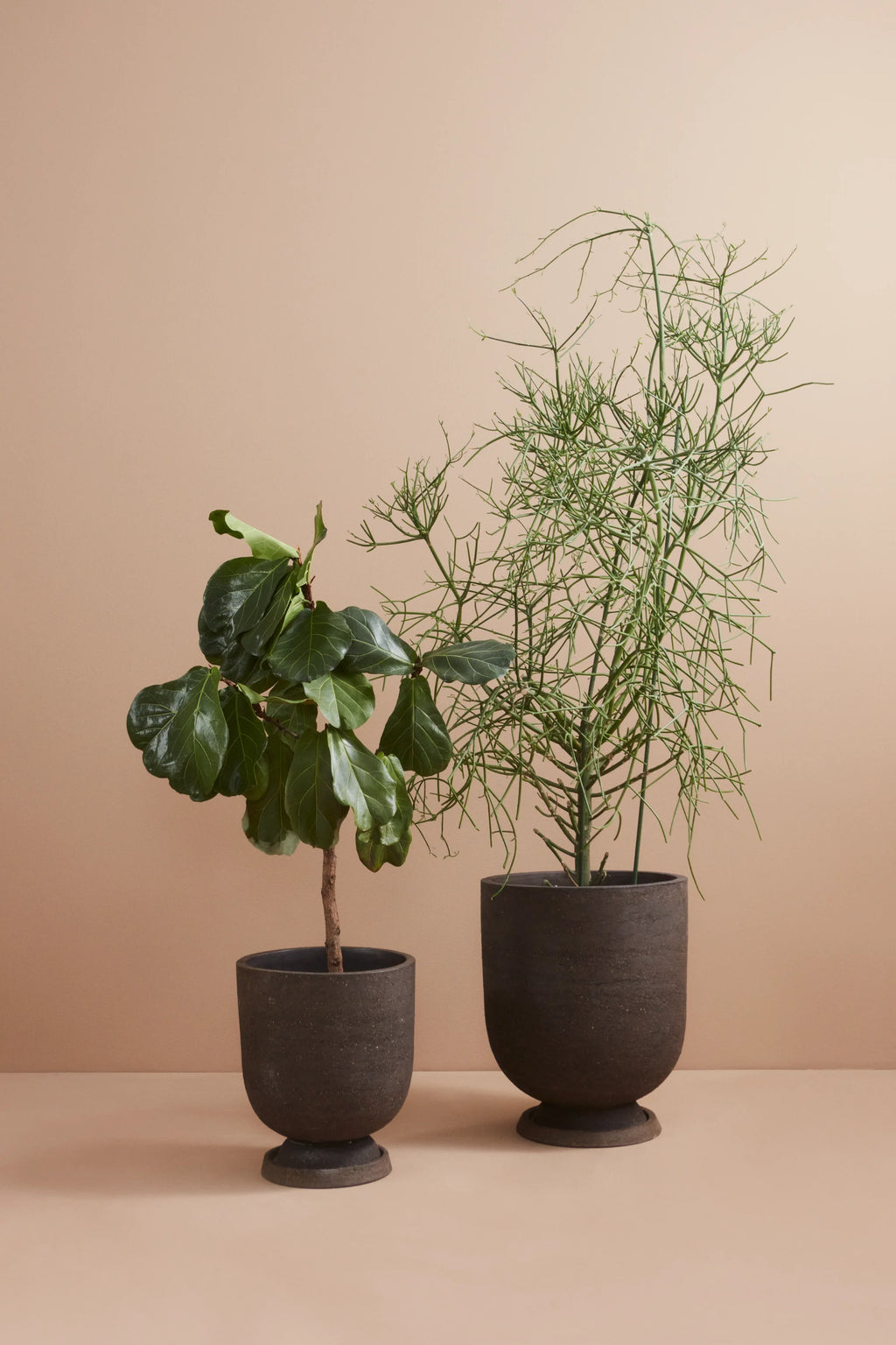 Terra Planter - THAT COOL LIVING