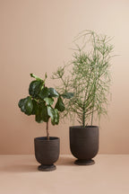 Terra Planter - THAT COOL LIVING