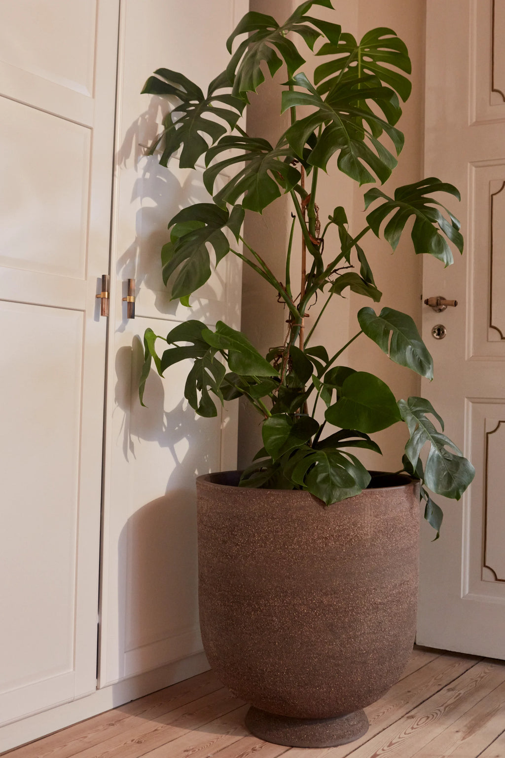 Terra Planter - THAT COOL LIVING