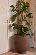 Terra Planter - THAT COOL LIVING