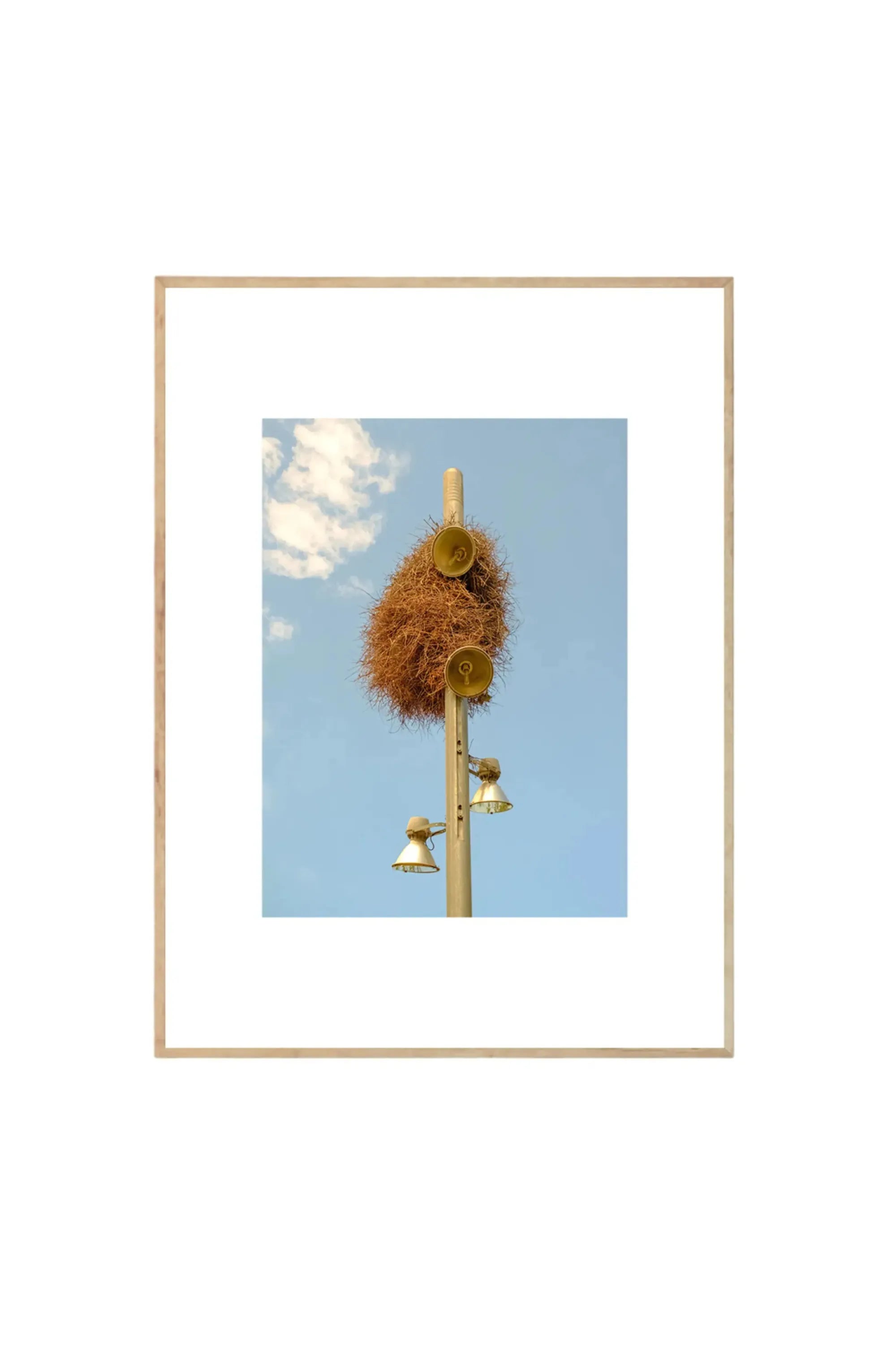 A New Home - Art Print