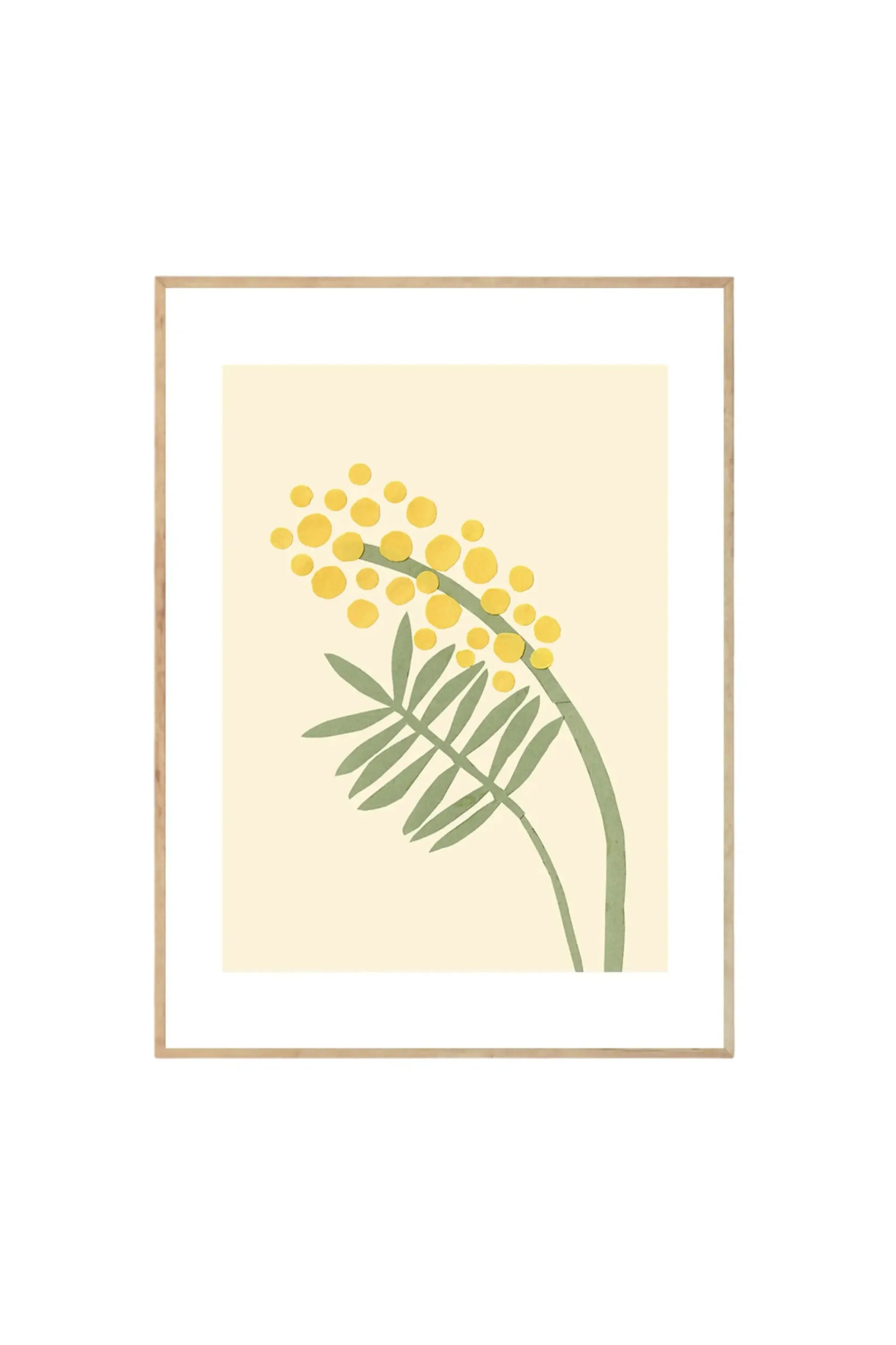 Acacia - Art Print