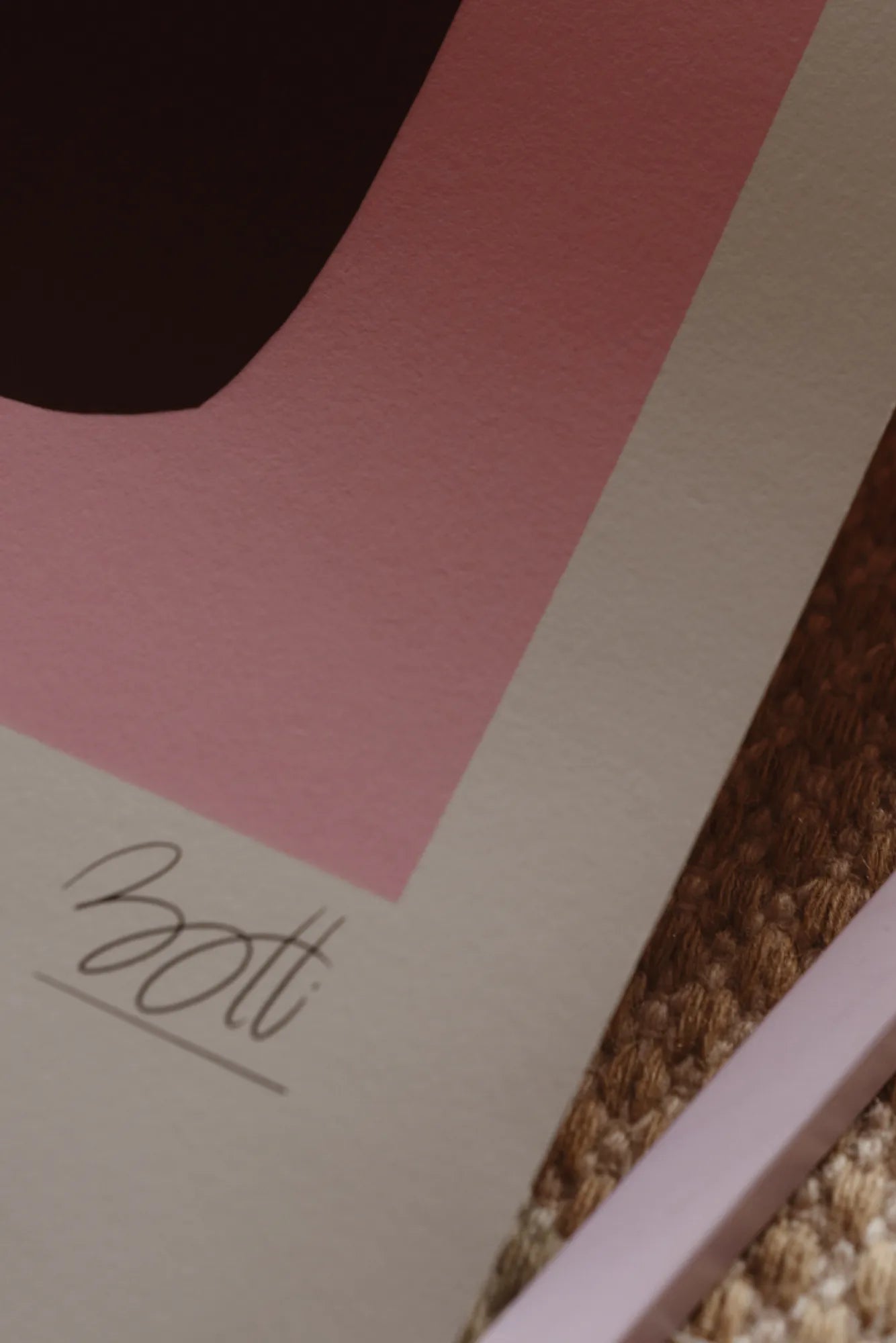 Mountain Lily plant with tall, slender stems and delicate petals