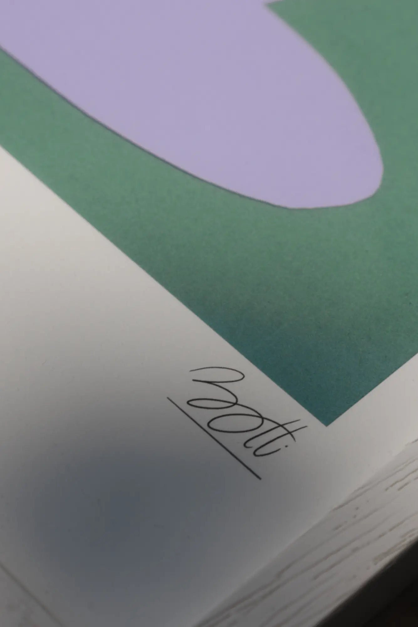 Bottle of exquisite red wine with ripe grapes and a rustic vineyard setting