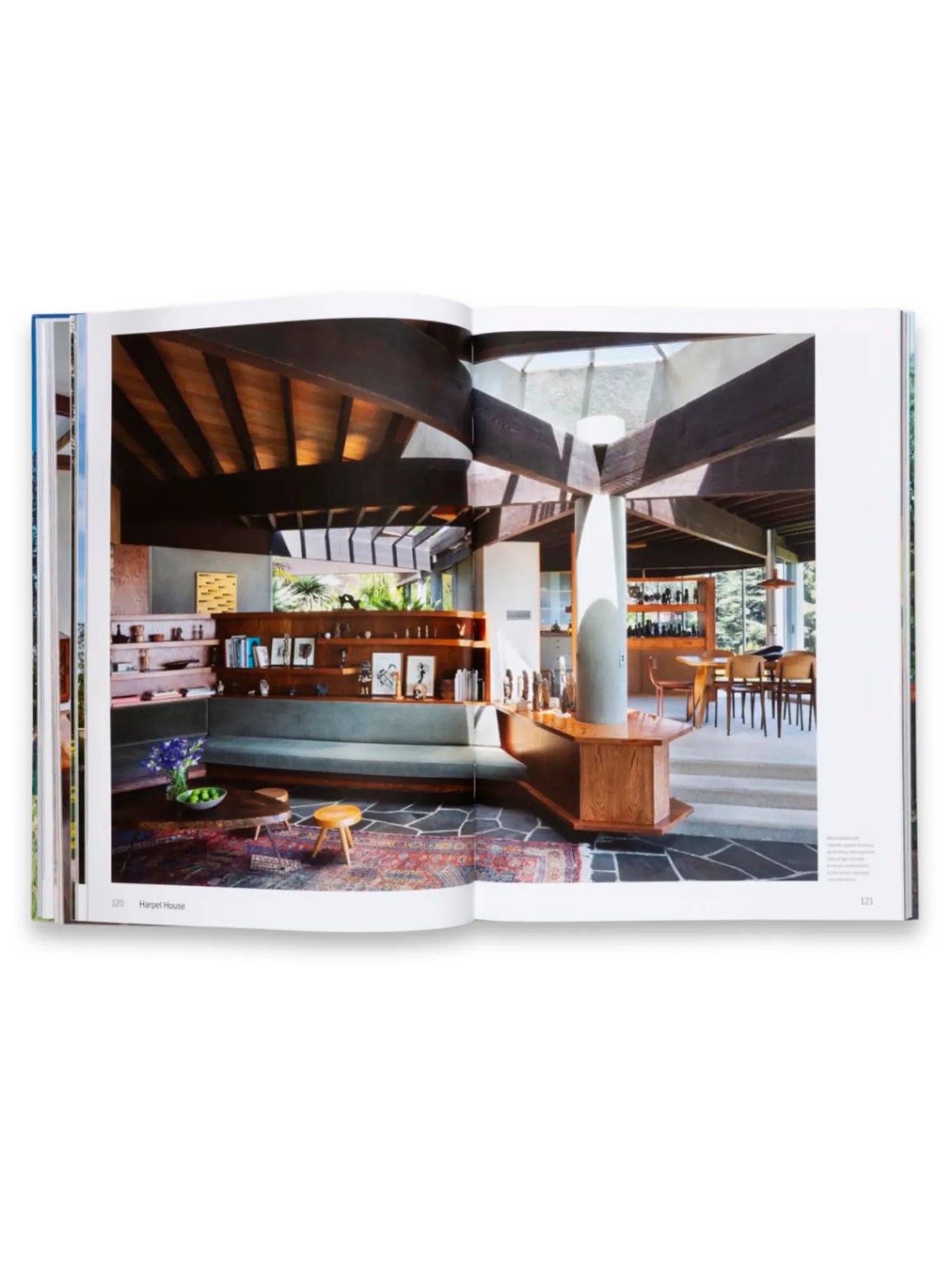 American Icons Volume 2 by Book - THAT COOL LIVING