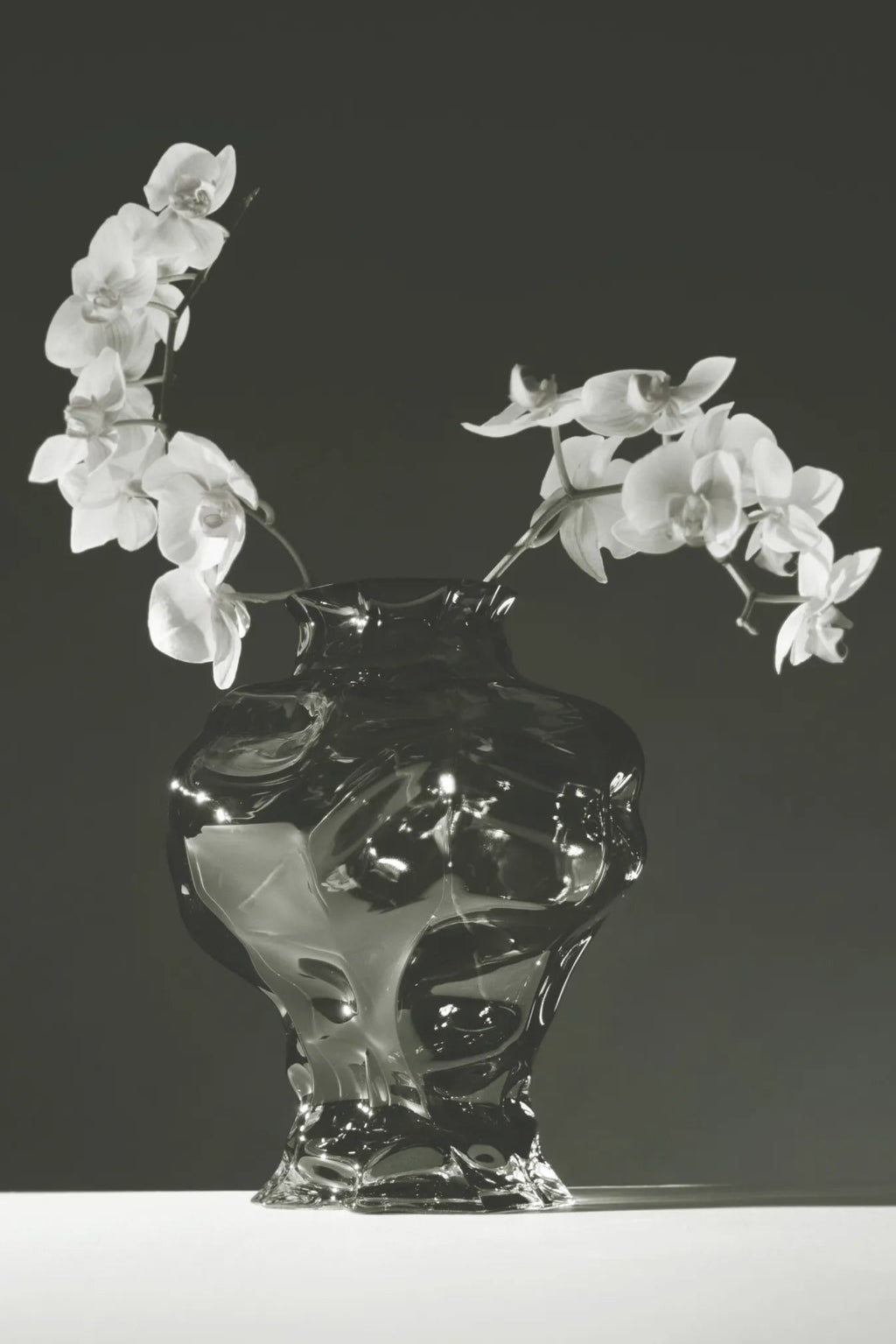 Ammonit Vase - Hein Studio - Handcrafted Glass Vase - That Cool Living