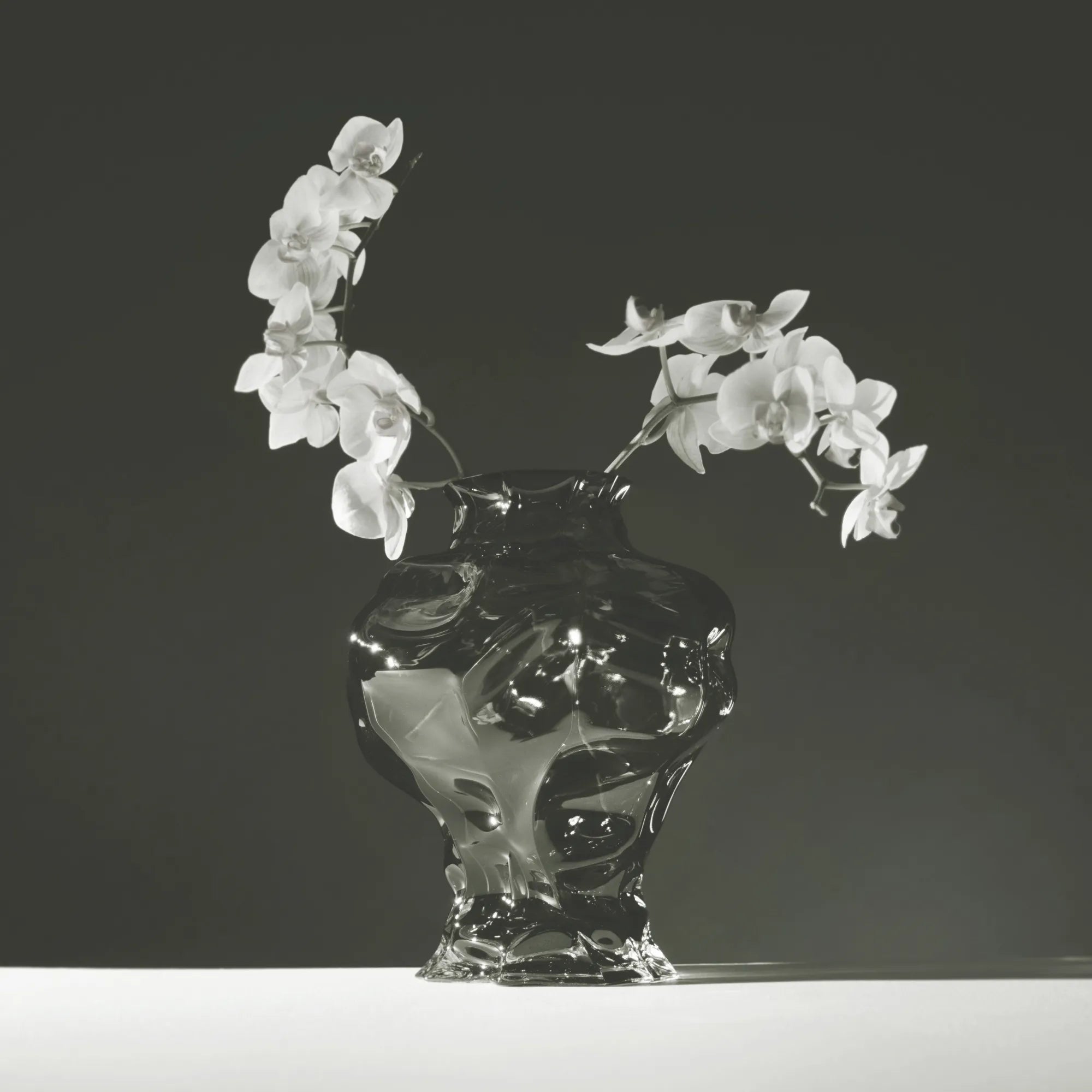 Ammonit Vase - Hein Studio - Handcrafted Glass Vase - That Cool Living