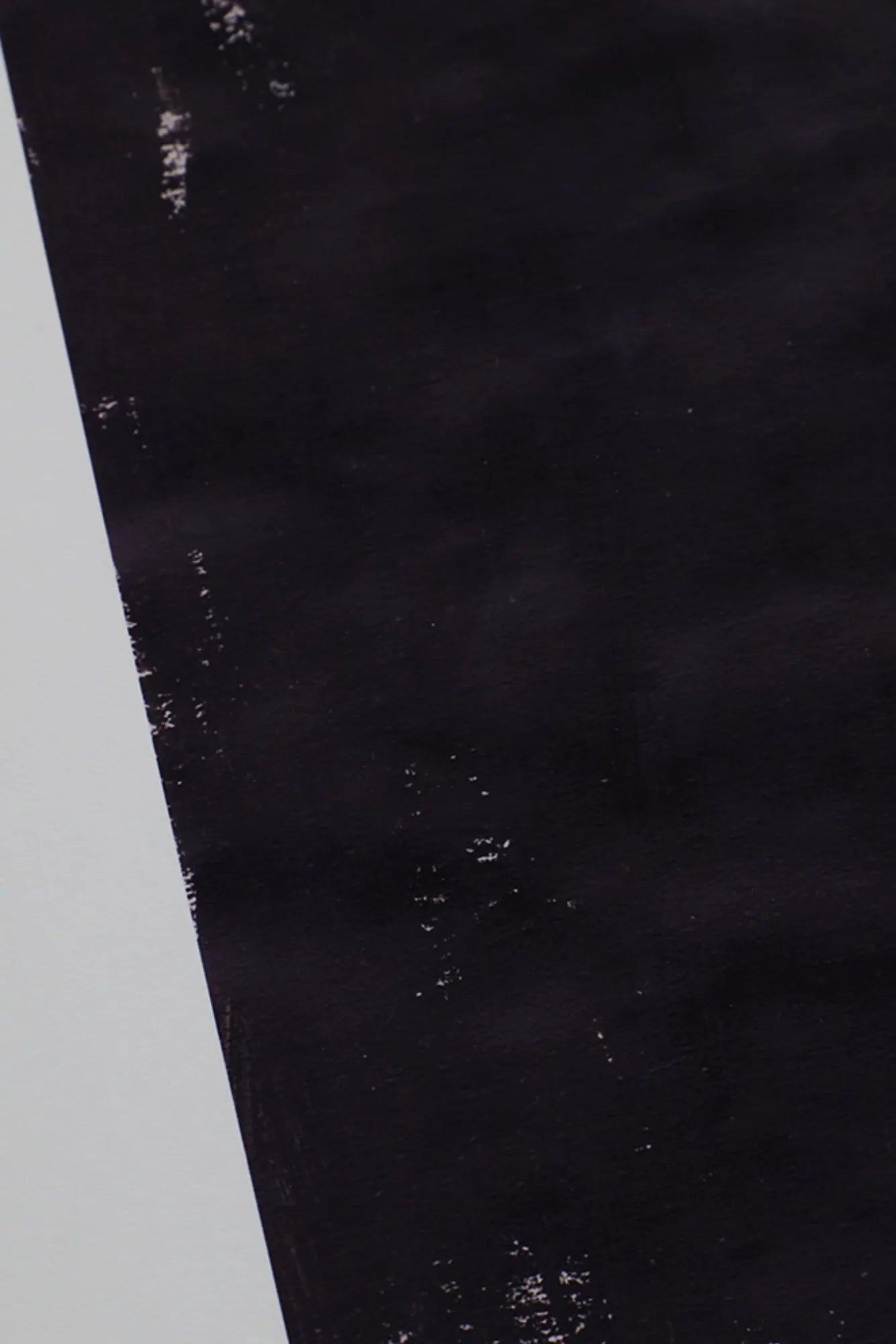 High-quality black Ginkgo product, an elegant and stylish addition to any space