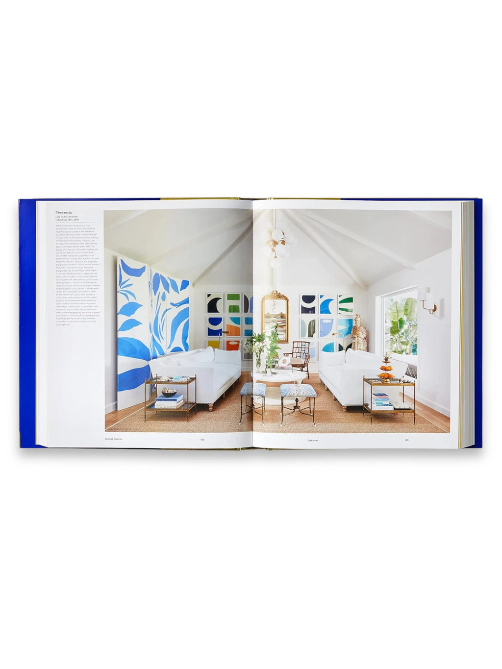 Book Atlas of Interior Design, showcasing an open page spread with a vibrant, modern living room interior featuring white sofas, rattan rug, and colorful abstract art. This inspiring design book is ideal for interior design enthusiasts and professionals seeking creative ideas.