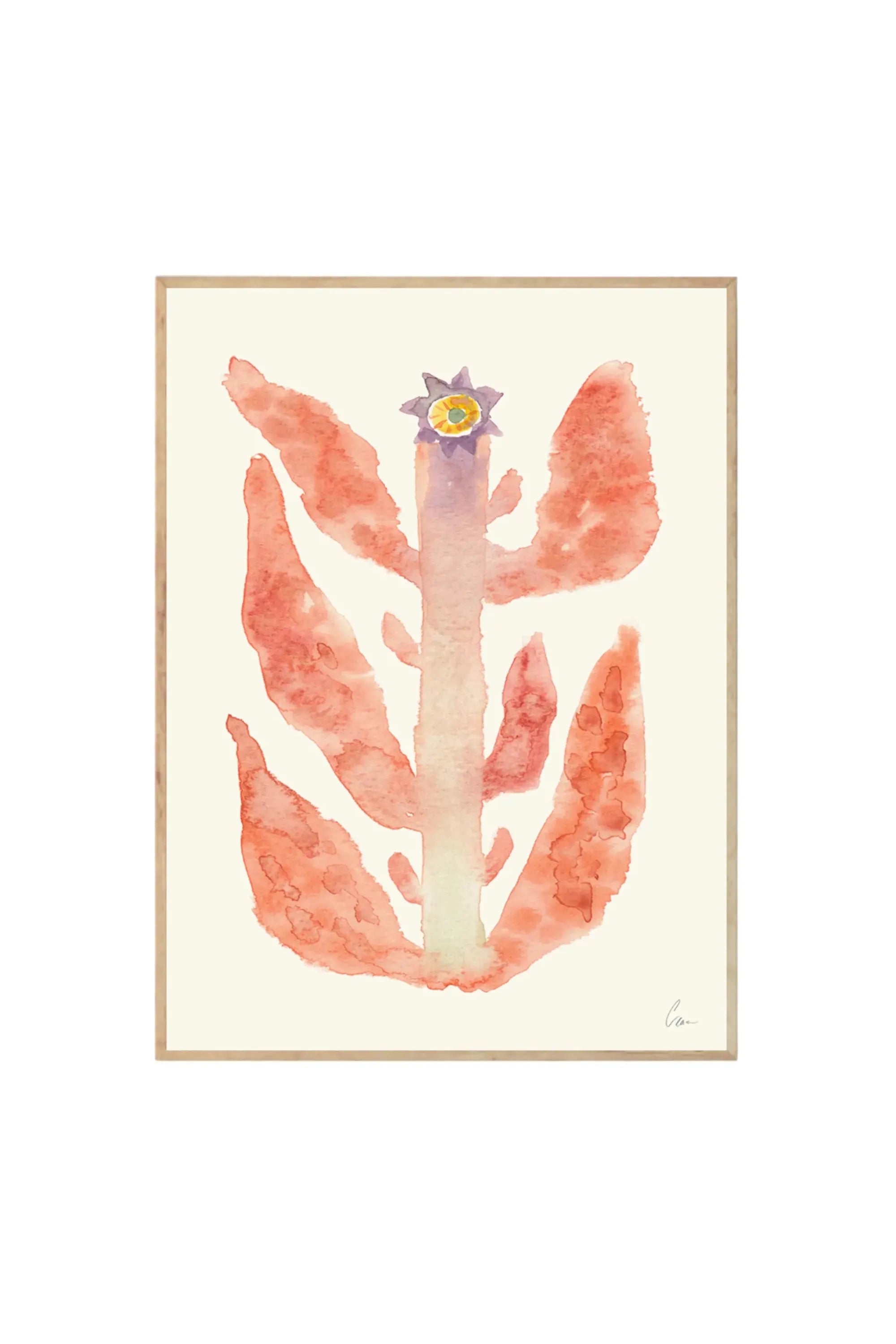 Augusti - Art Print