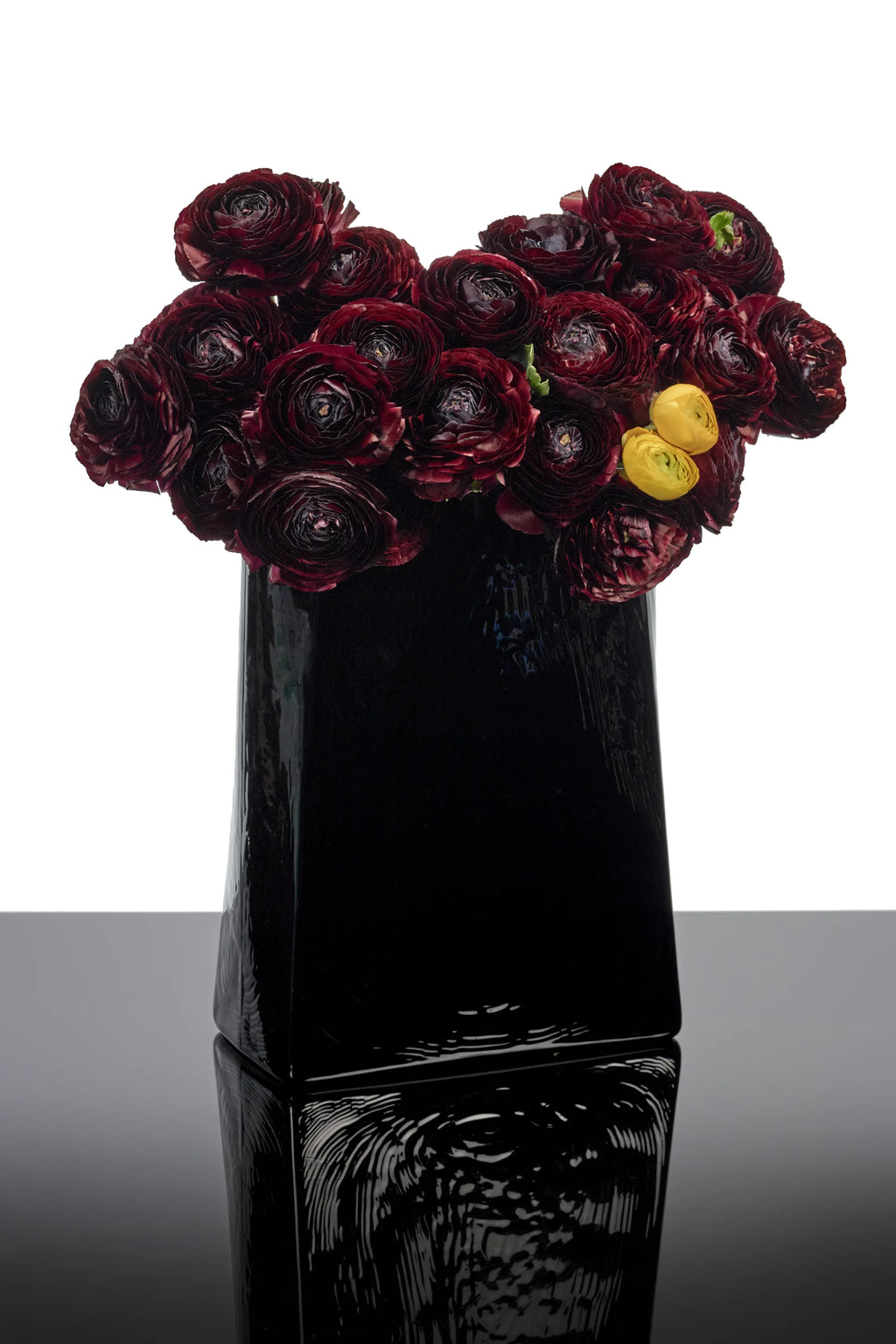 Serax Josephine Vase with Glass Tube 03, a sleek, rectangular black ceramic vase with a high-gloss finish, holding a vibrant bouquet of deep red ranunculus and a few bright yellow blooms, reflecting on a polished dark surface. This modern decorative vase is ideal for adding an elegant and luxurious touch to any contemporary home decor.