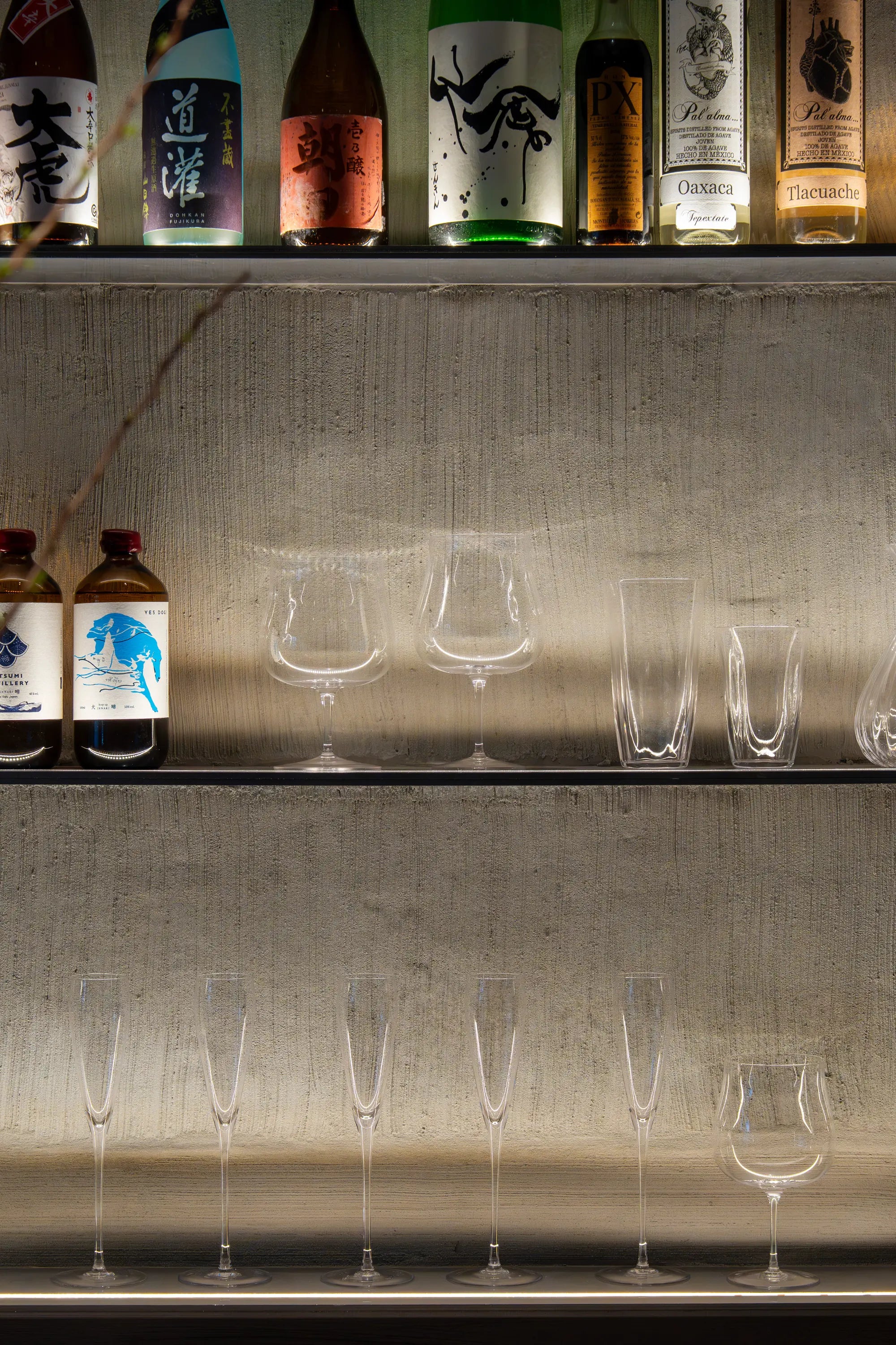 Silhouette Champagne Glass - Set of 4 by Serax - THAT COOL LIVING