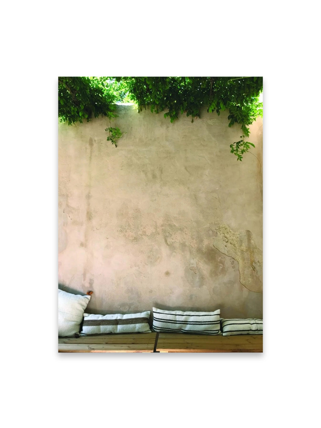 Book Bea Mombaers – items & interiors, featuring a textured beige plaster wall with lush green foliage cascading from above, and striped cushions on a rustic wooden bench. This interior design book offers inspiration for home decor enthusiasts and professional designers.