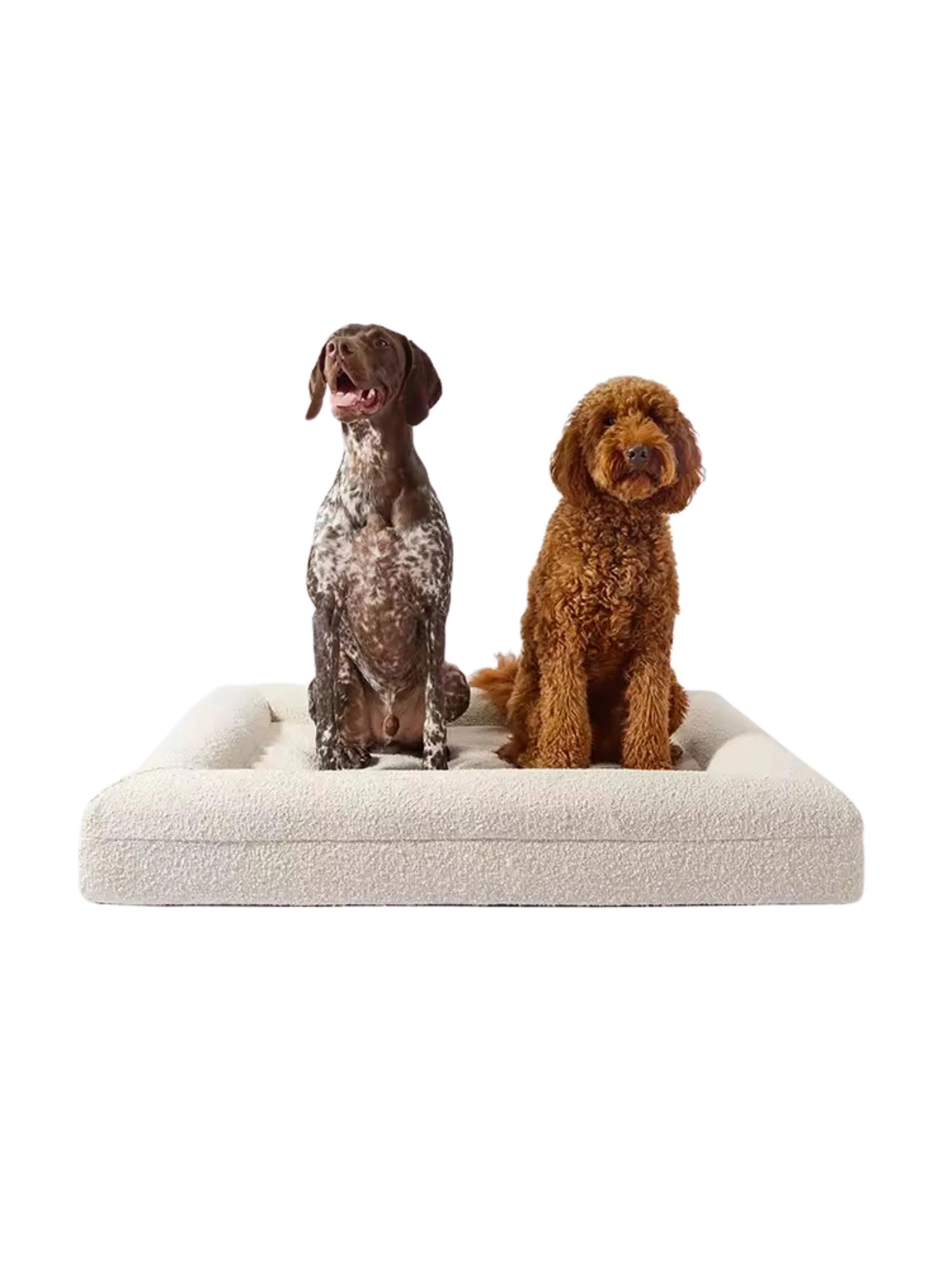 Boucle Pet Bed by TCL Studios - THAT COOL LIVING