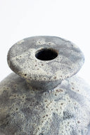 Cálpide Gecko Vase
