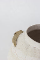 Isolated n.10 Vase