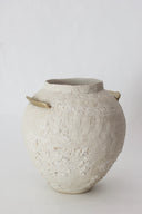 Isolated n.10 Vase