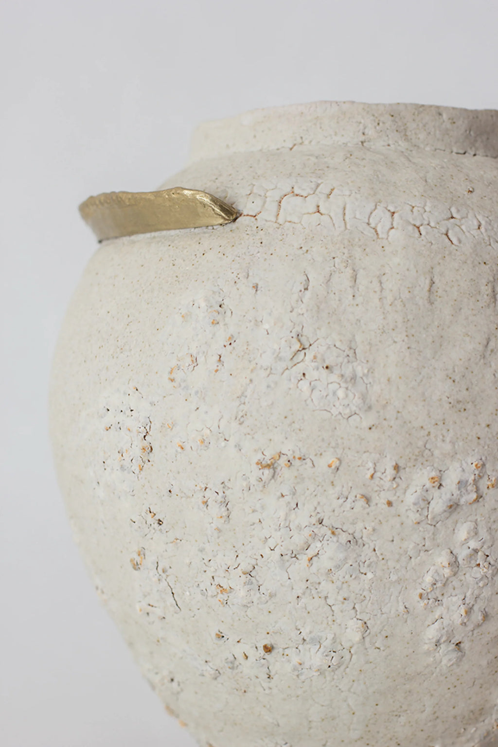 Canoa Lab Isolated n.10 Vase, a detailed close-up of the vase's textured, off-white ceramic body, highlighting the crackled pattern and the subtle, organic imperfections, displayed on a white background.