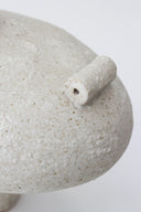 Isolated n.13 Vase