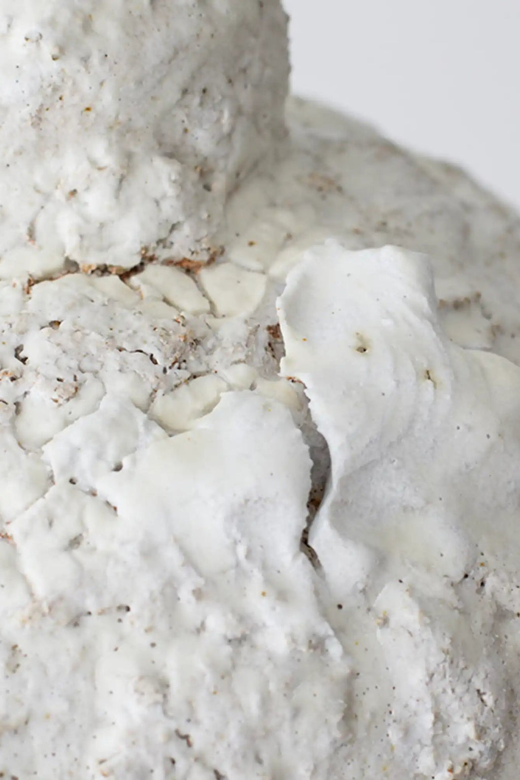 Canoa Lab Isolated n.21 Vase, a handcrafted ceramic vase featuring an intensely textured, porous, and organic surface in natural off-white and cream tones, revealing hints of rustic raw clay.