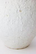 Isolated n.26 Vase