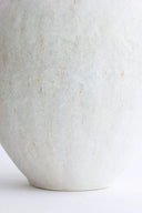 Isolated n.31 Vase