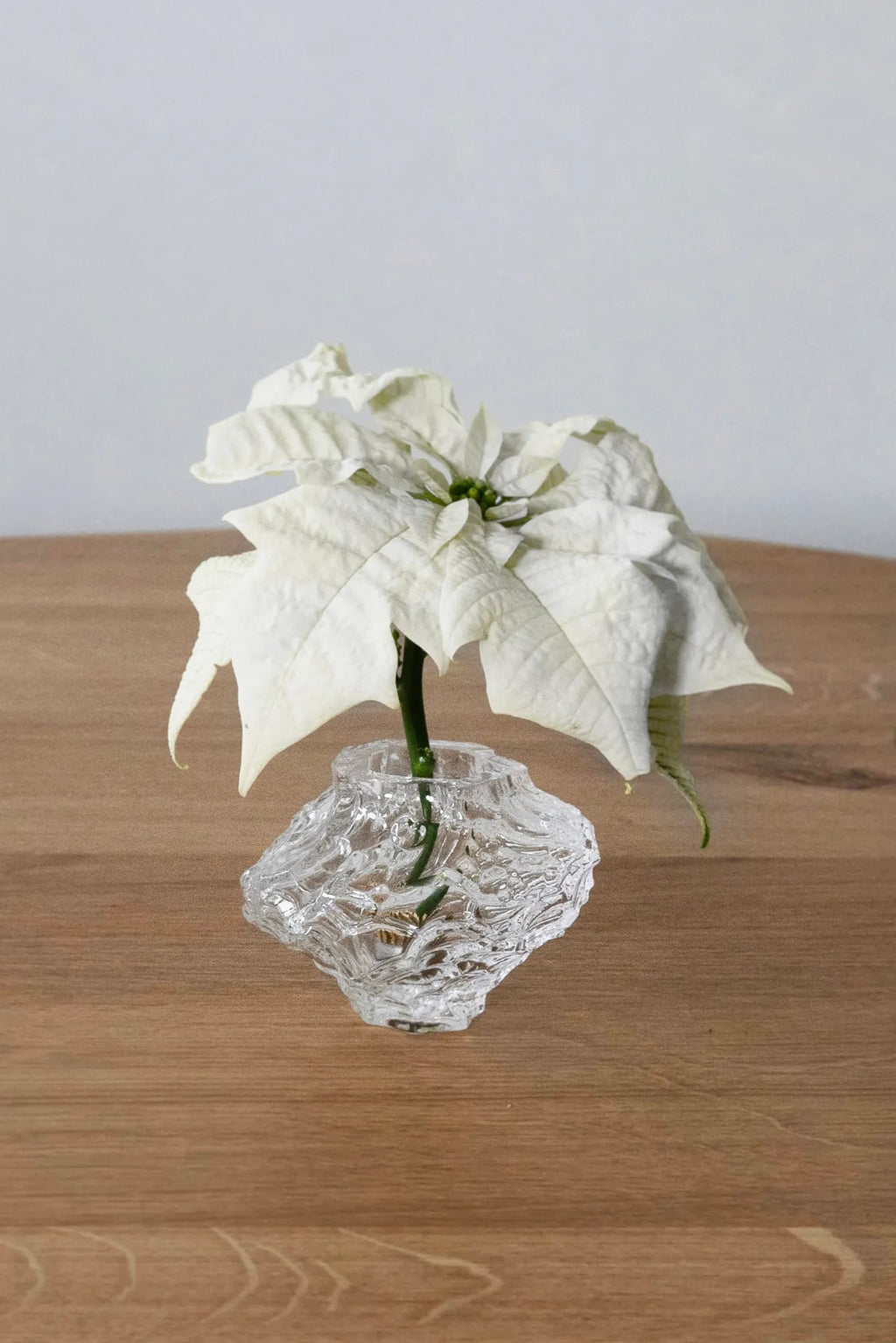 Hein Studio Canyon Vase - Mini, a clear glass vase featuring a unique, hand-sculpted textured surface that evokes natural rock formations or melted ice, embodying an organic modern design aesthetic.