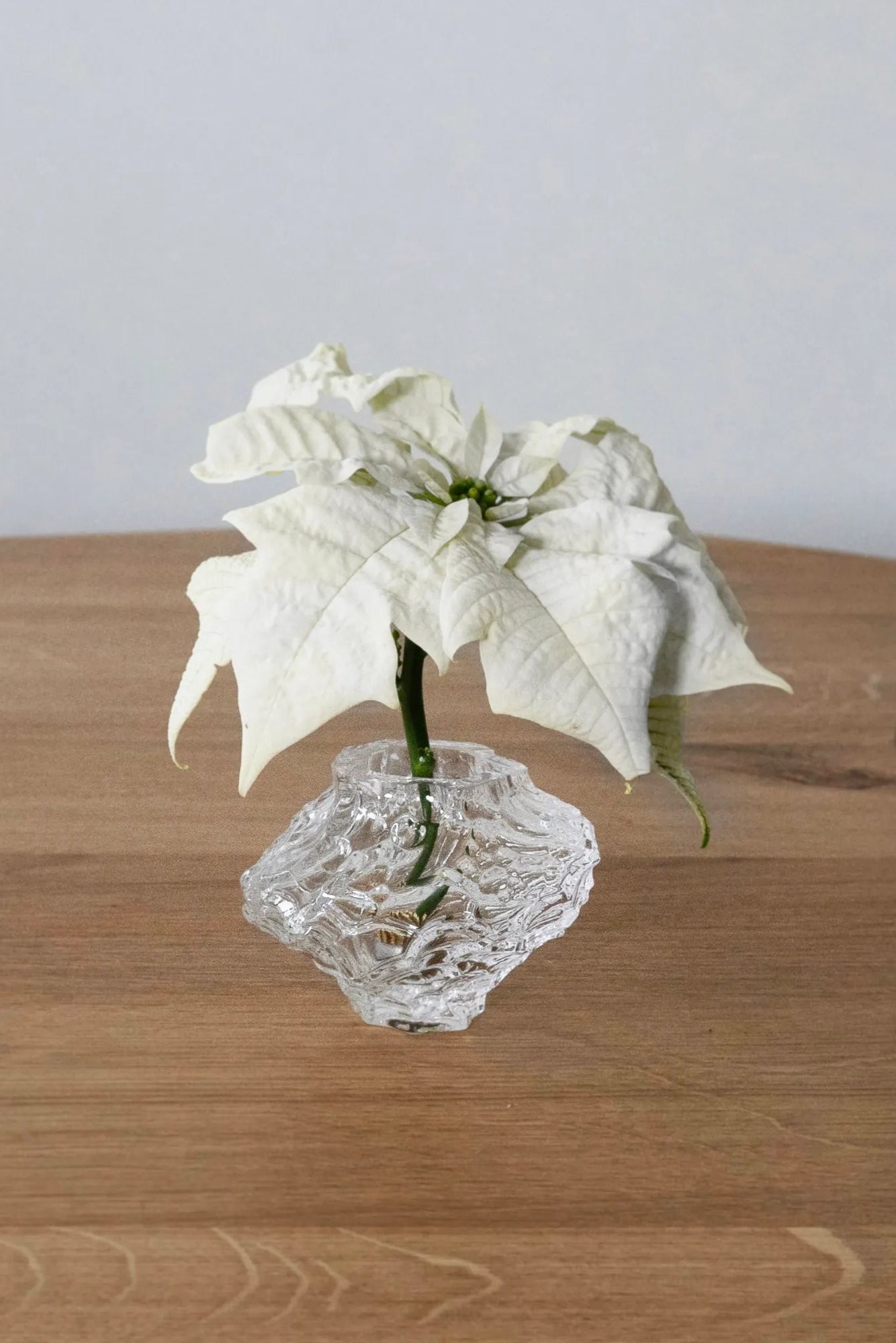  A group of Canyon Vases - Mini in different colors and patterns, offering a stylish and versatile decor option