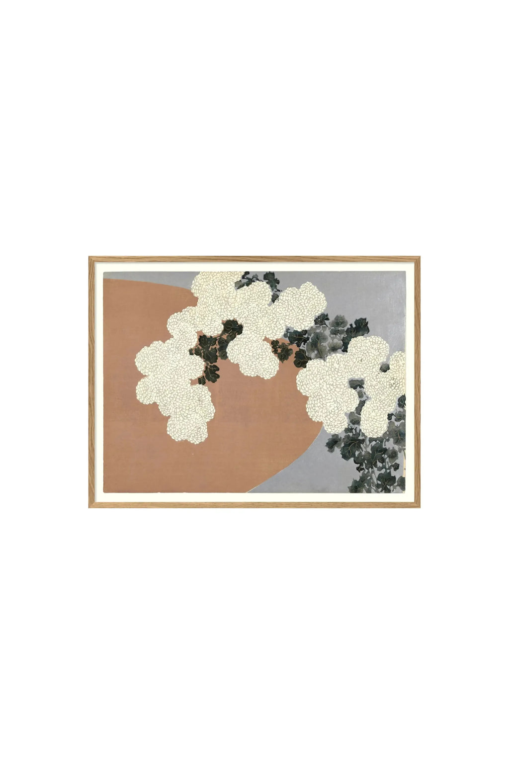 Chrysanthemum - Art Print