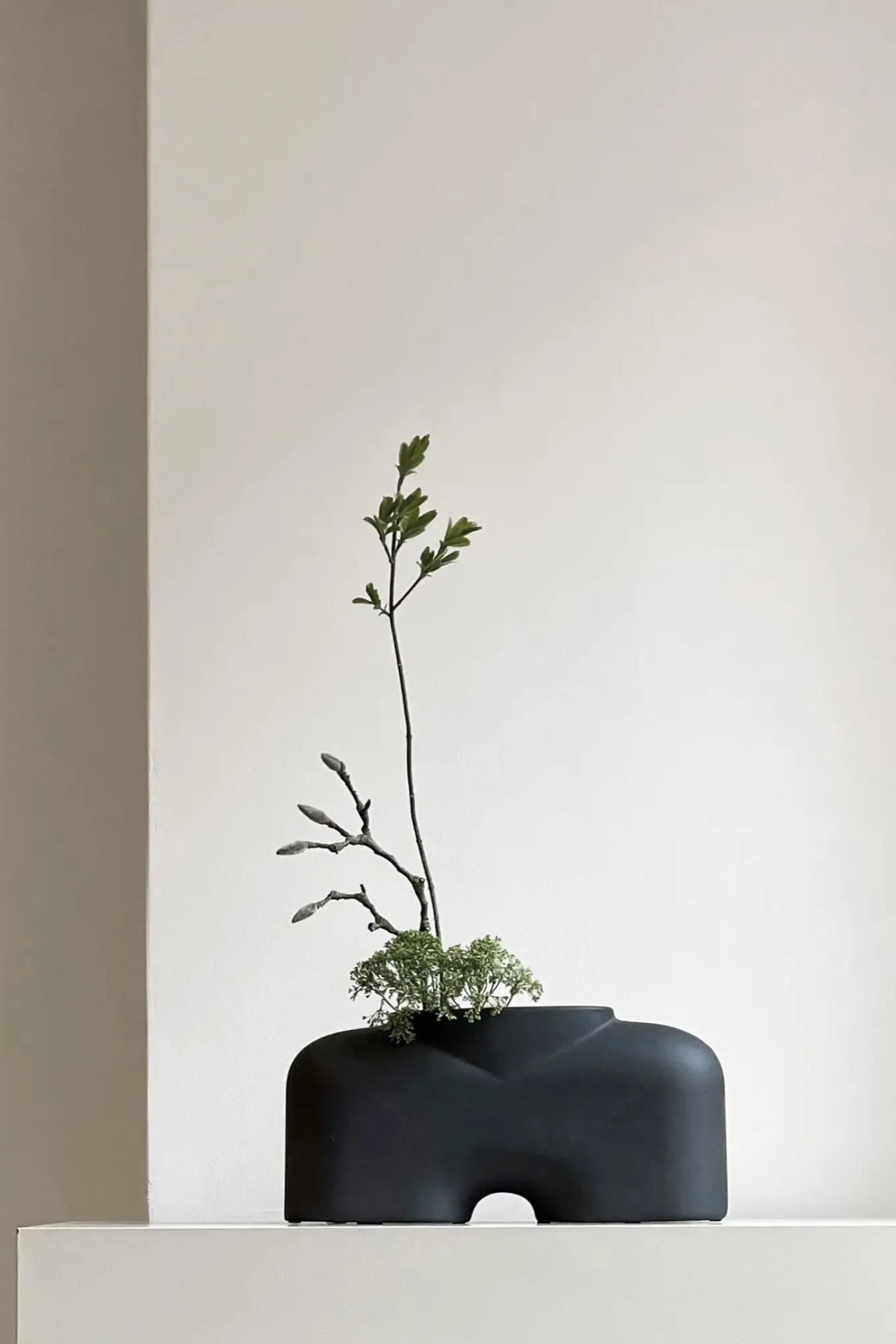 Minimalist vase with a matte black finish and a sturdy build