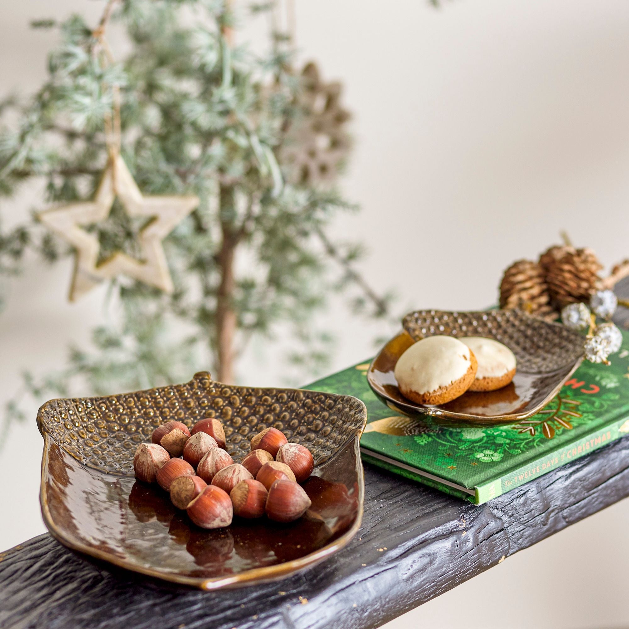Acorns Bowl - Set of 2