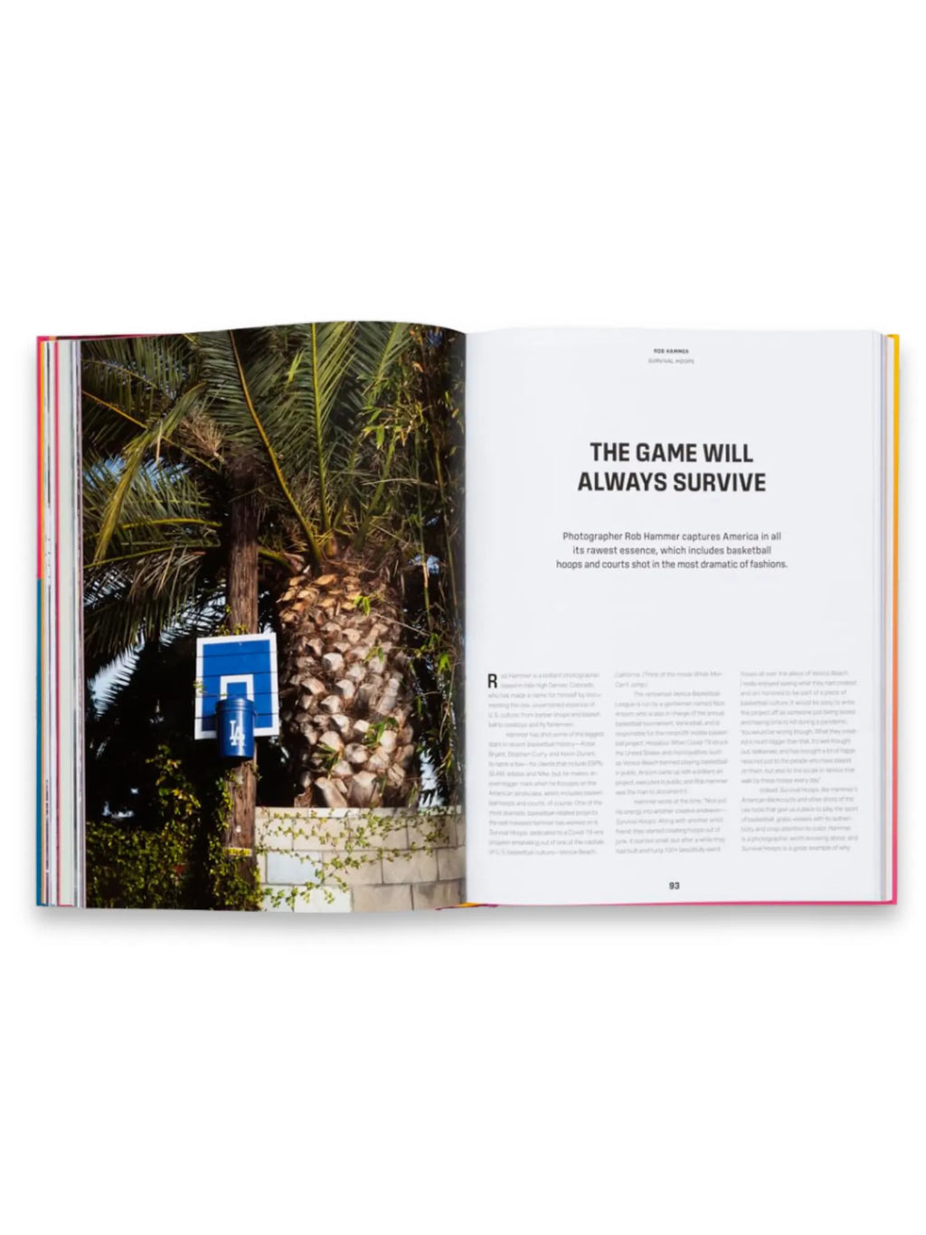 Book Courtside Candy, open book with a vibrant multicolor spine revealing a page featuring a blue basketball backboard and hoop attached to a wooden pole, surrounded by lush green palm trees and ivy-covered walls. This unique photography book is perfect for basketball fans and art book collectors interested in urban sports culture.