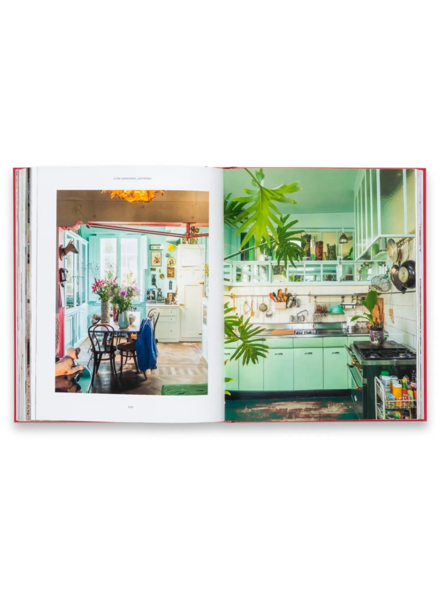 Creative Homes Belgium by Book - THAT COOL LIVING