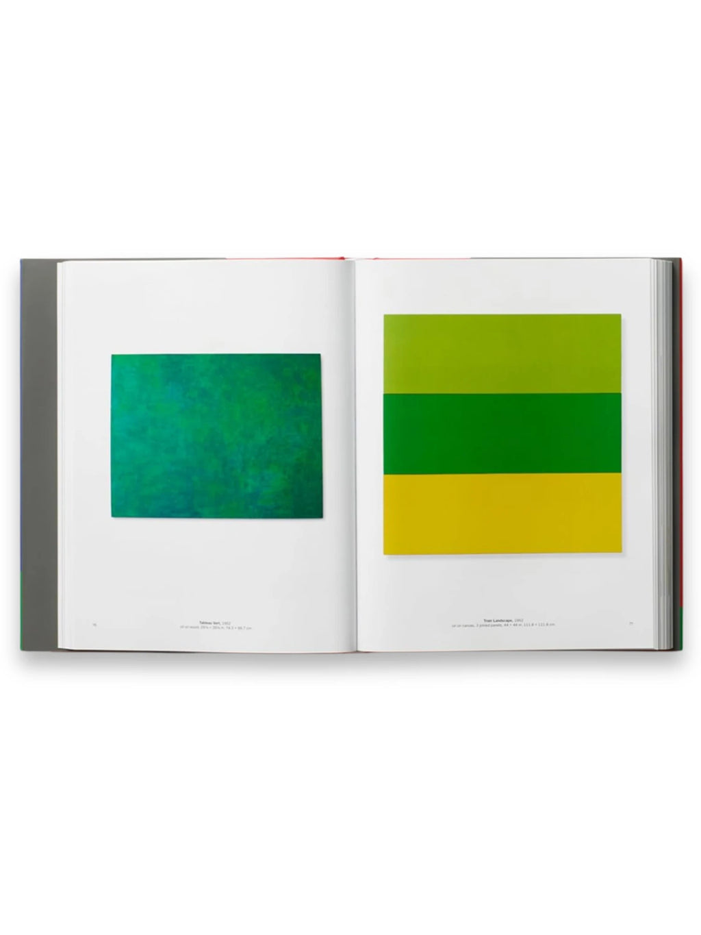 Book Ellsworth Kelly, open art catalog featuring vibrant green textured abstract art and a bold geometric piece with lime green, forest green, and yellow stripes. This comprehensive art book is ideal for modern art enthusiasts, collectors, and students.
