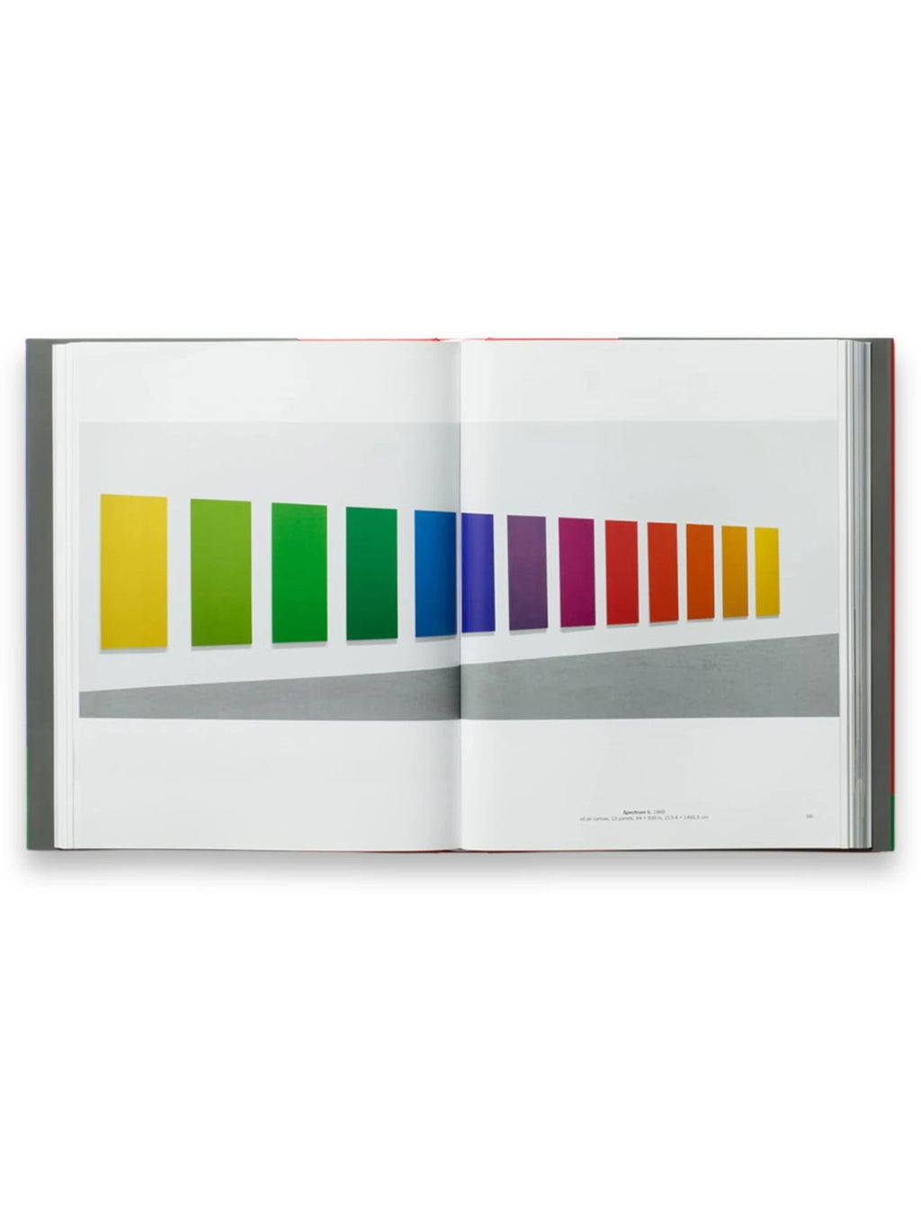 Book Ellsworth Kelly, an open art book with a vibrant image of "Spectrum V" by Ellsworth Kelly featuring 13 rectangular panels in a color gradient from yellow to green, blue, purple, red, and orange, against a white wall with a gray floor. This premium art book is perfect for art enthusiasts, students, and collectors interested in modern abstract art and color theory.