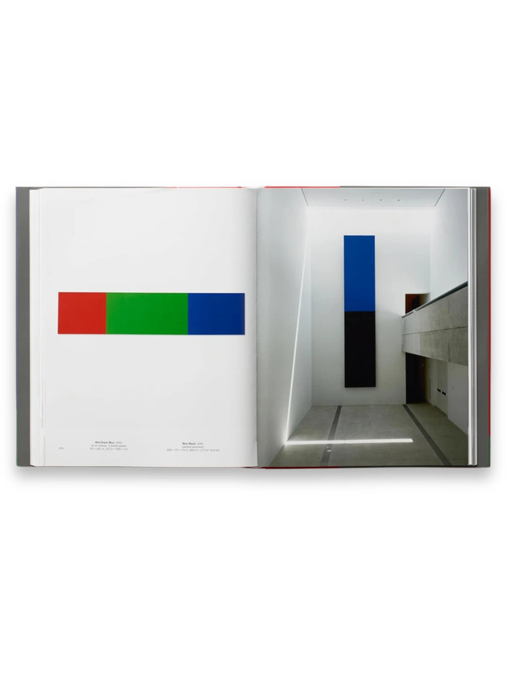 Book Ellsworth Kelly, open art book showcasing vibrant minimalist artworks: a horizontal red, green, and blue color block on the left page, and a tall blue and black vertical color block installation in a modern gallery setting on the right. This comprehensive art book is perfect for art history students, contemporary art enthusiasts, and collectors of fine art publications.