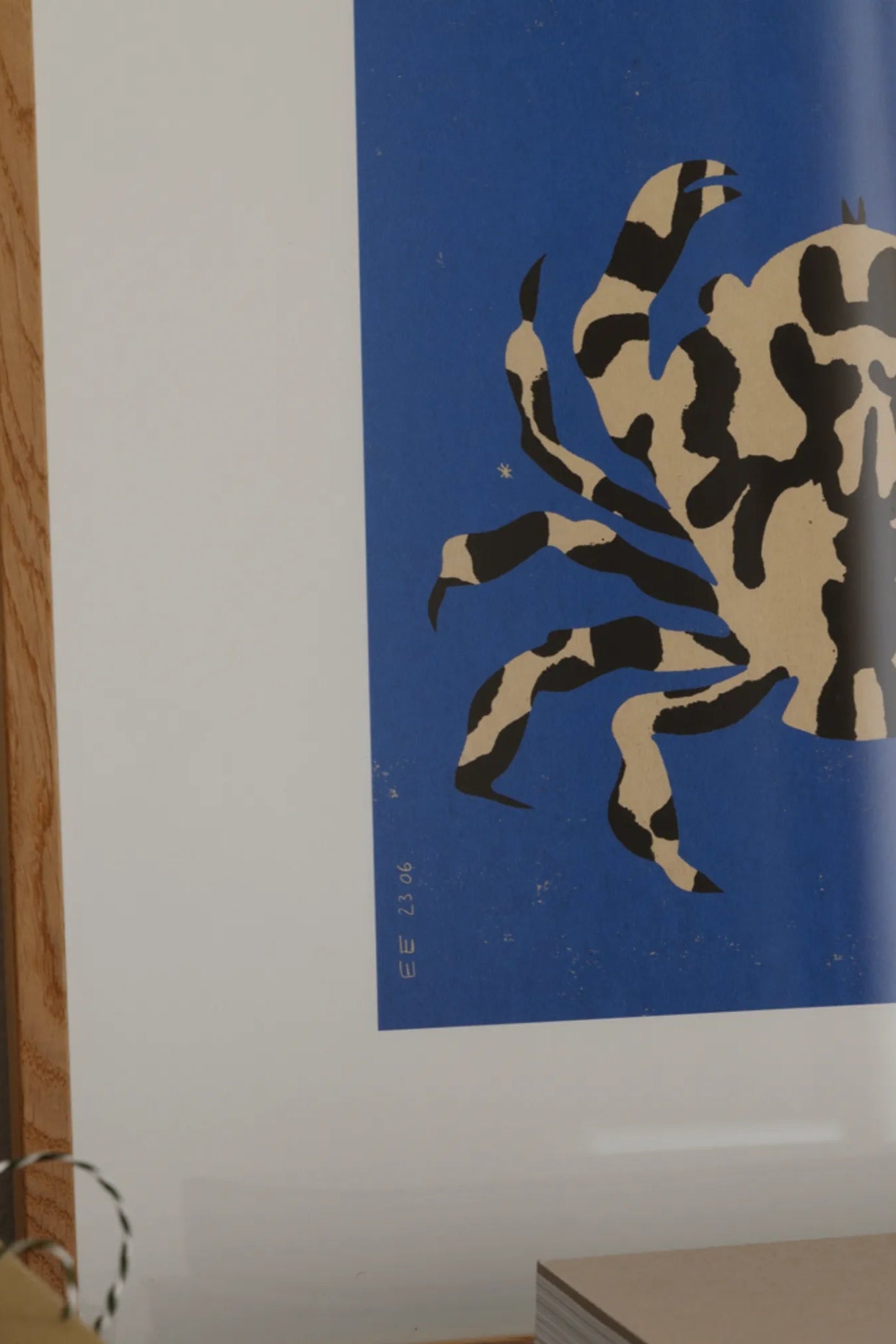 Close-up of the Calico Crab's intricate shell patterns and colors