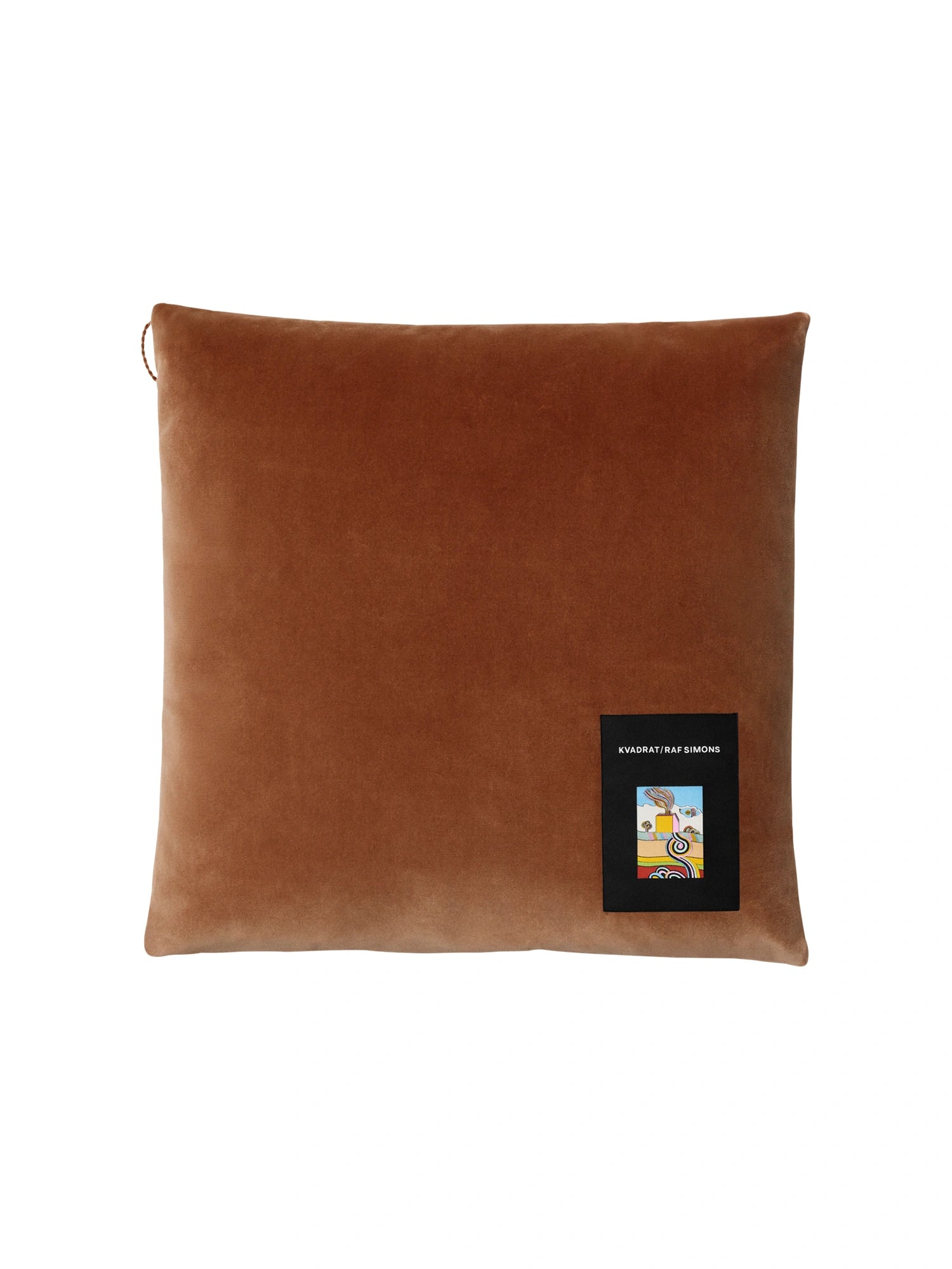 Asator Velvet Cushion