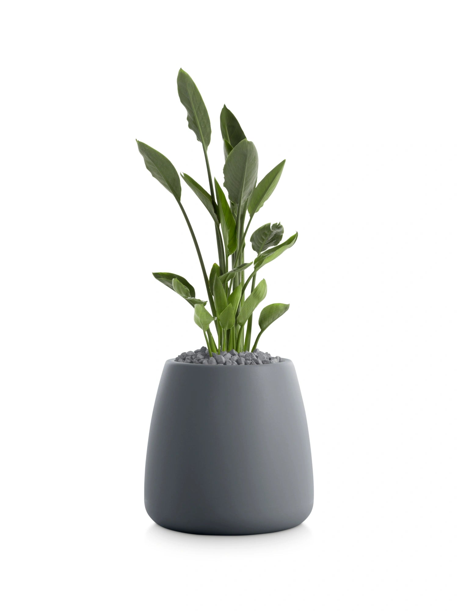 Gobi 1 Planter by Diabla - THAT COOL LIVING