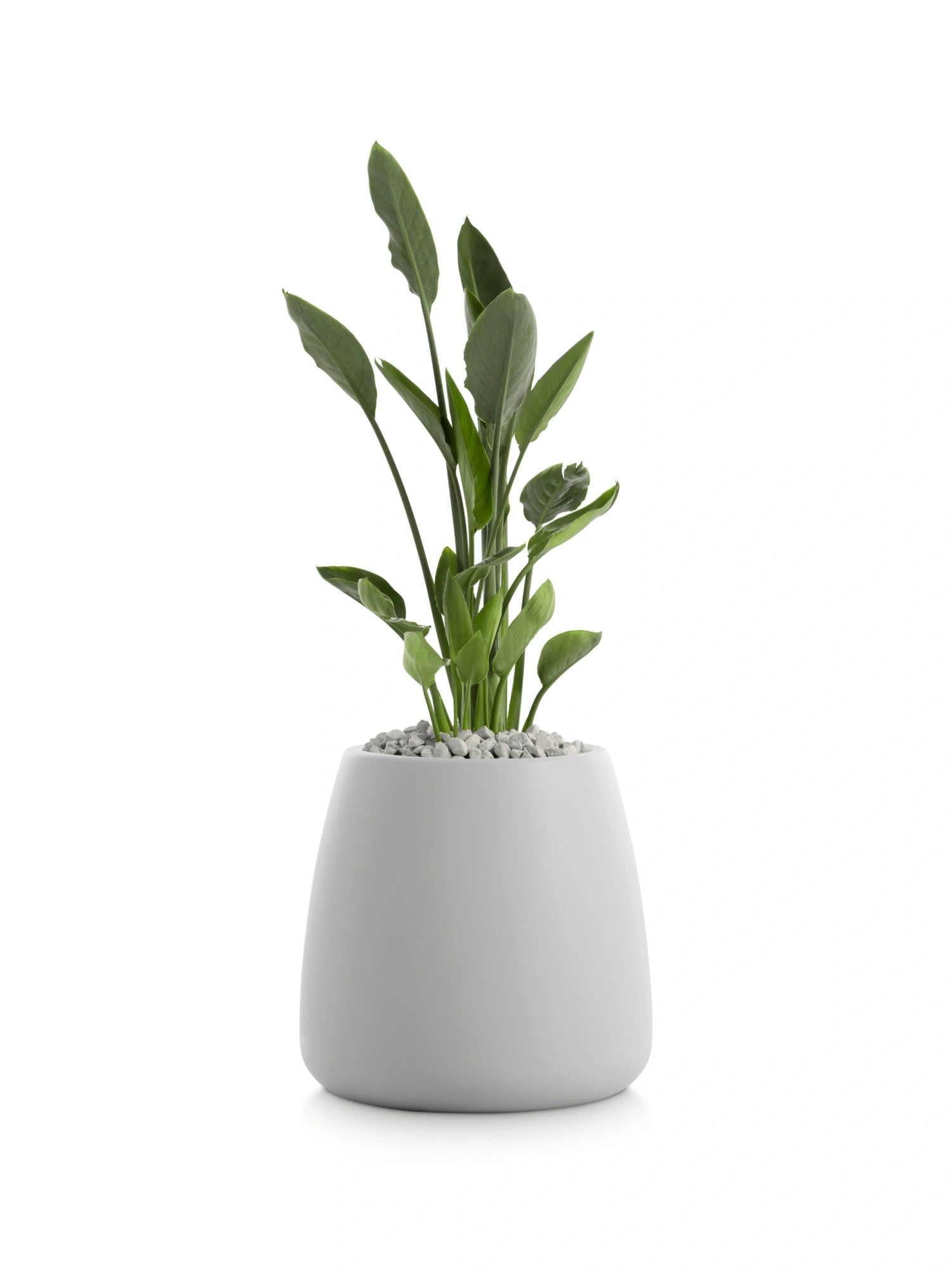 Gobi 1 Planter by Diabla - THAT COOL LIVING