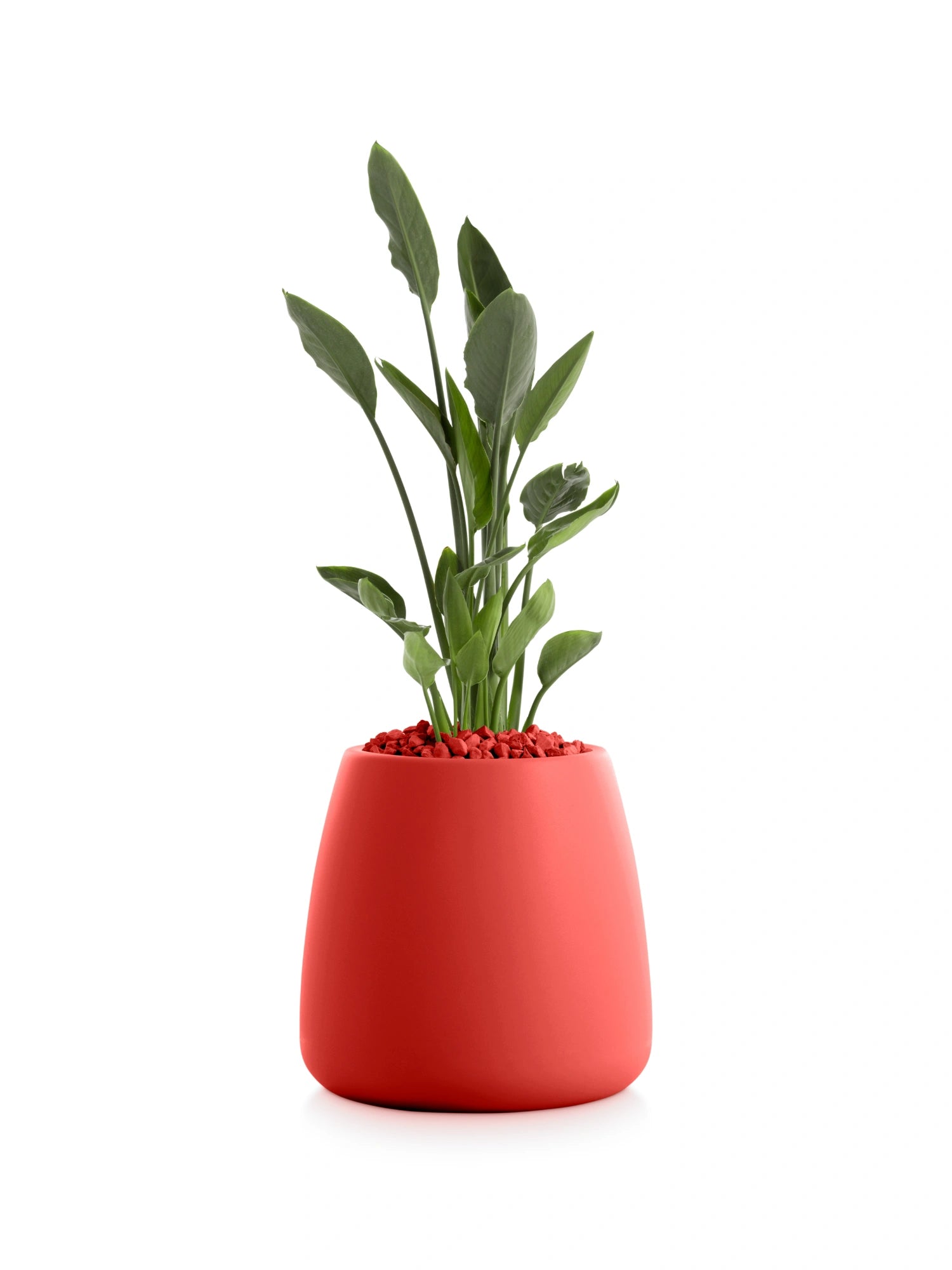 Gobi 1 Planter by Diabla - THAT COOL LIVING