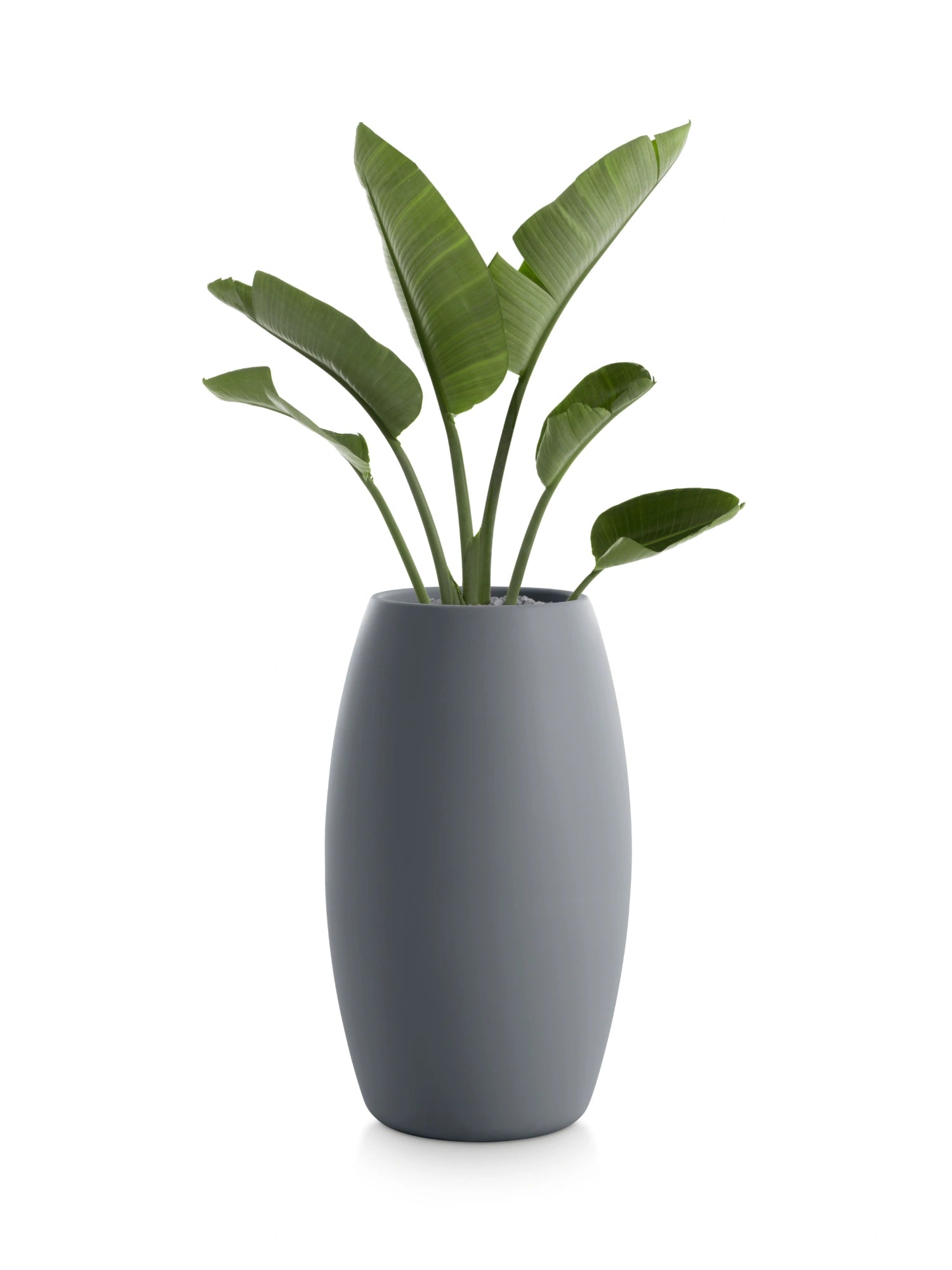 Gobi 2 Planter by Diabla - THAT COOL LIVING