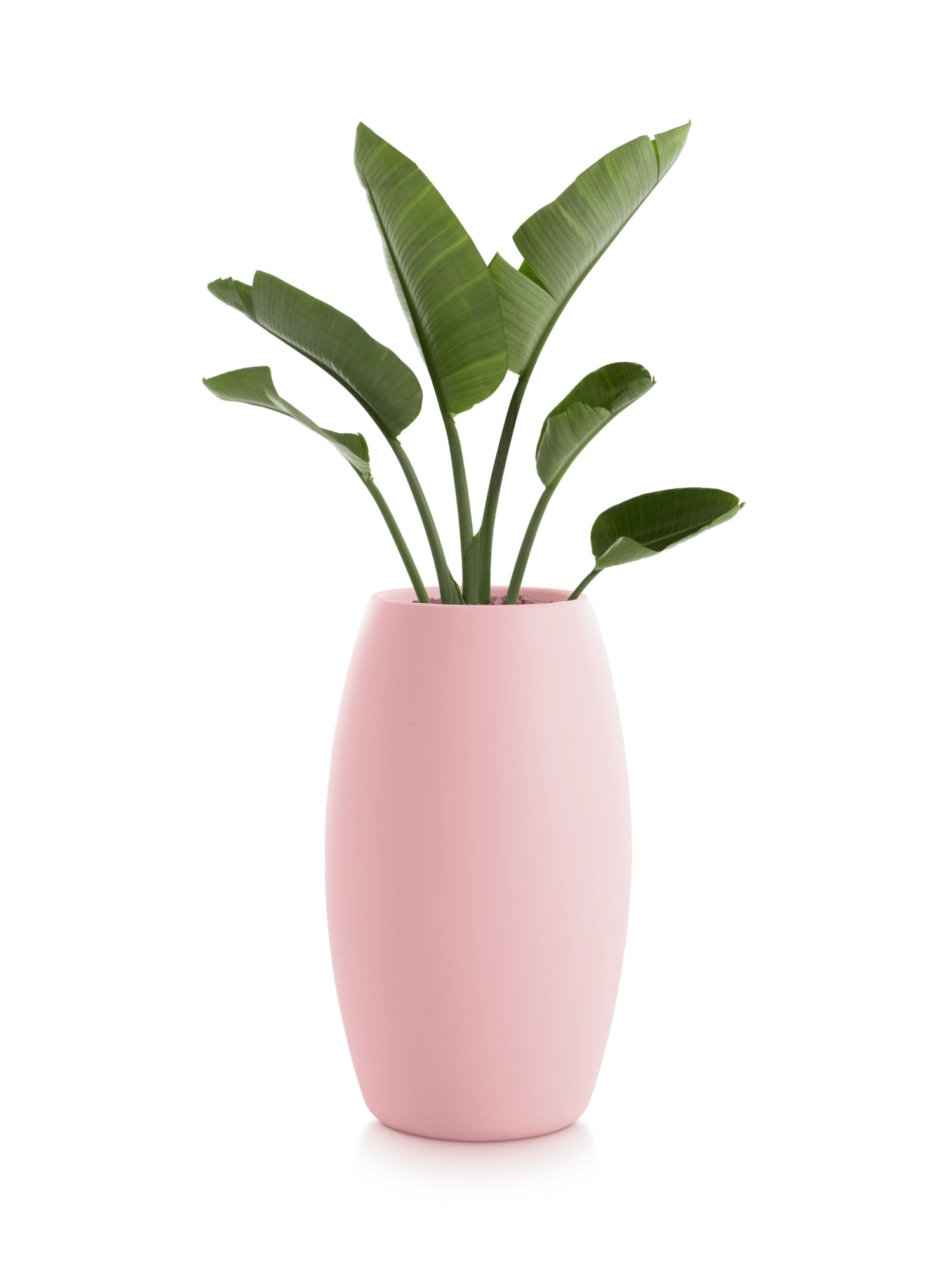 Gobi 2 Planter by Diabla - THAT COOL LIVING