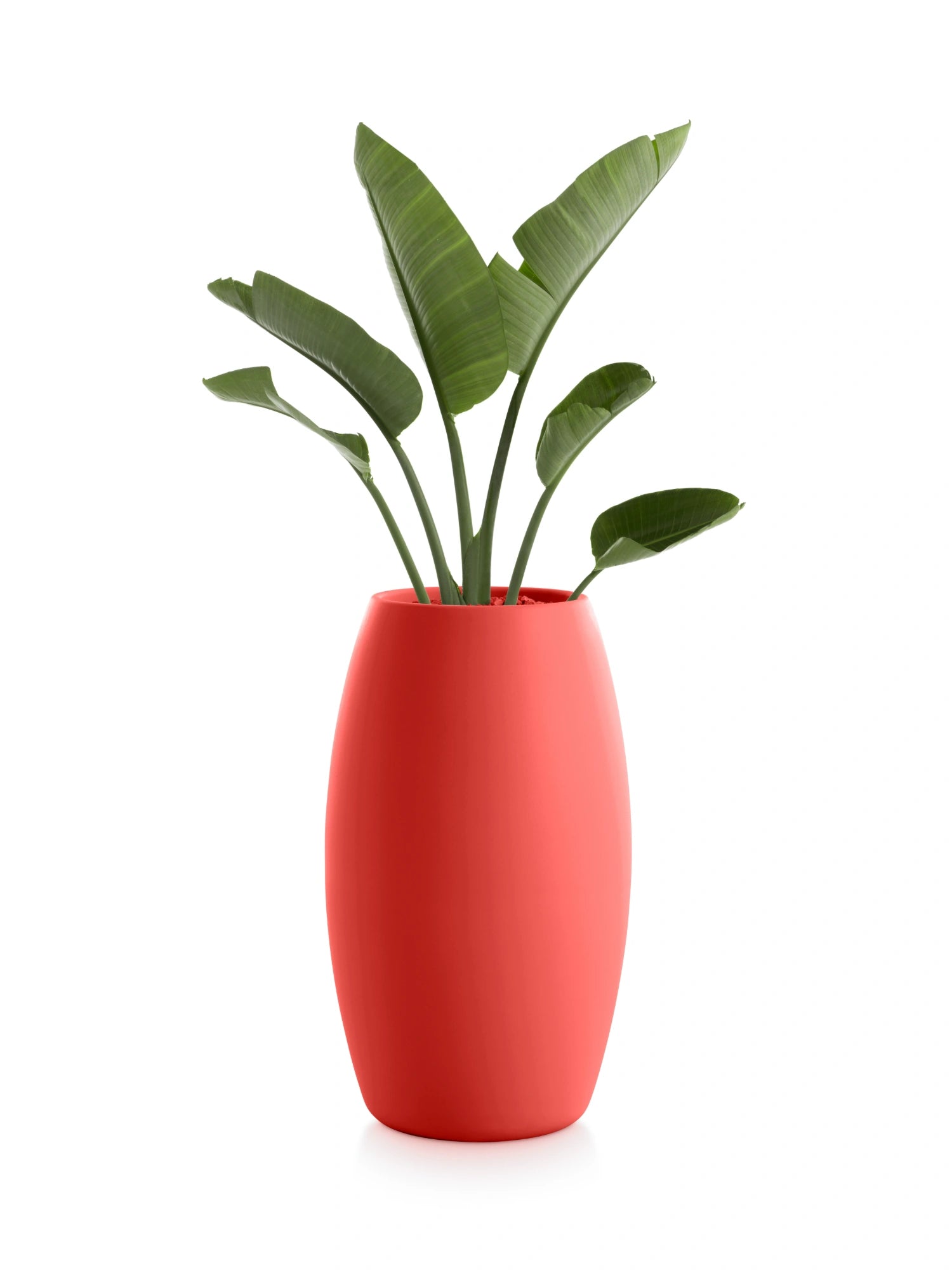 Gobi 2 Planter by Diabla - THAT COOL LIVING